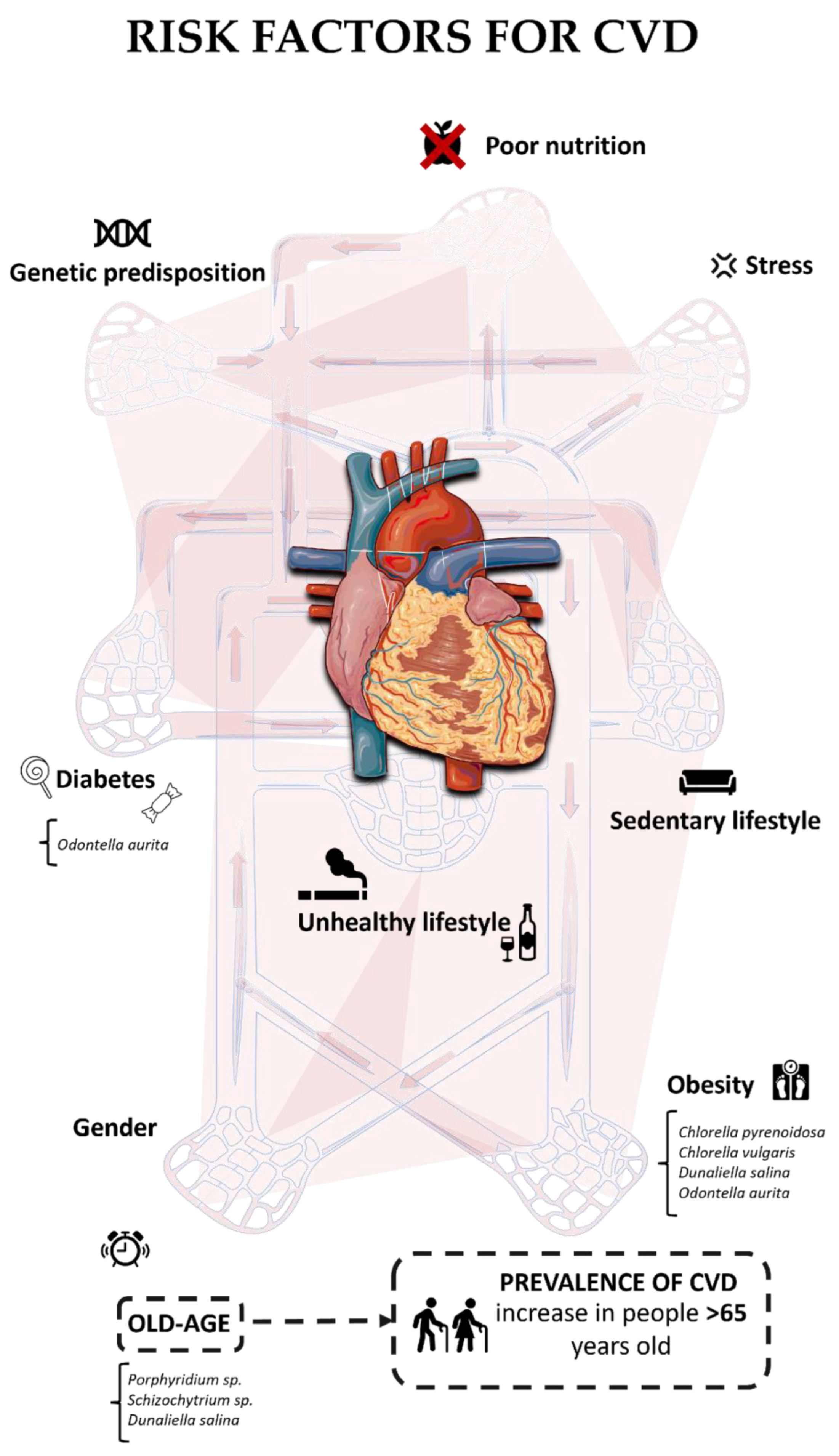 Marinedrugs 22 00229 g001