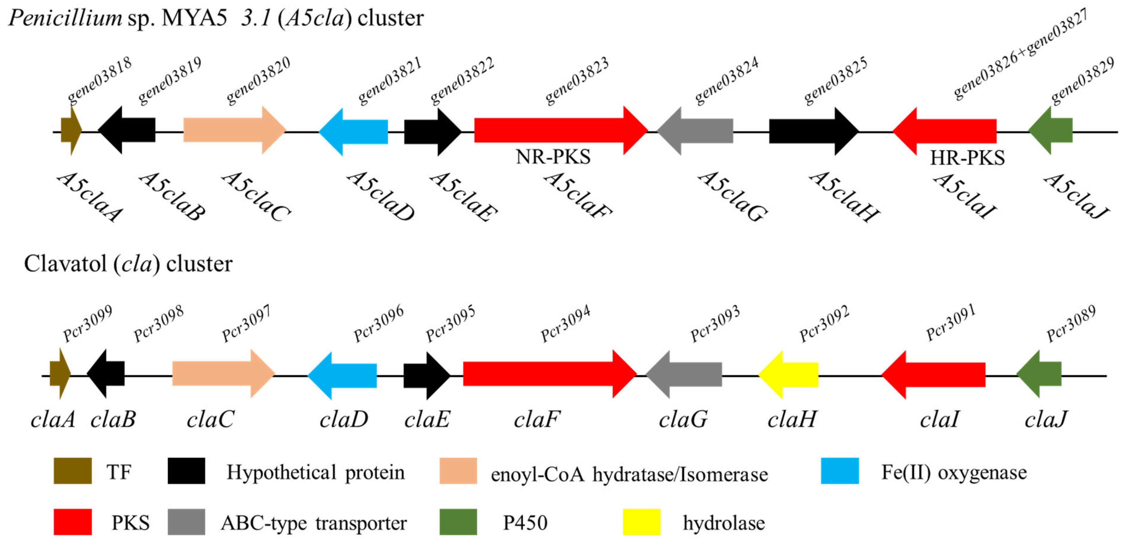 Marinedrugs 22 00236 g002