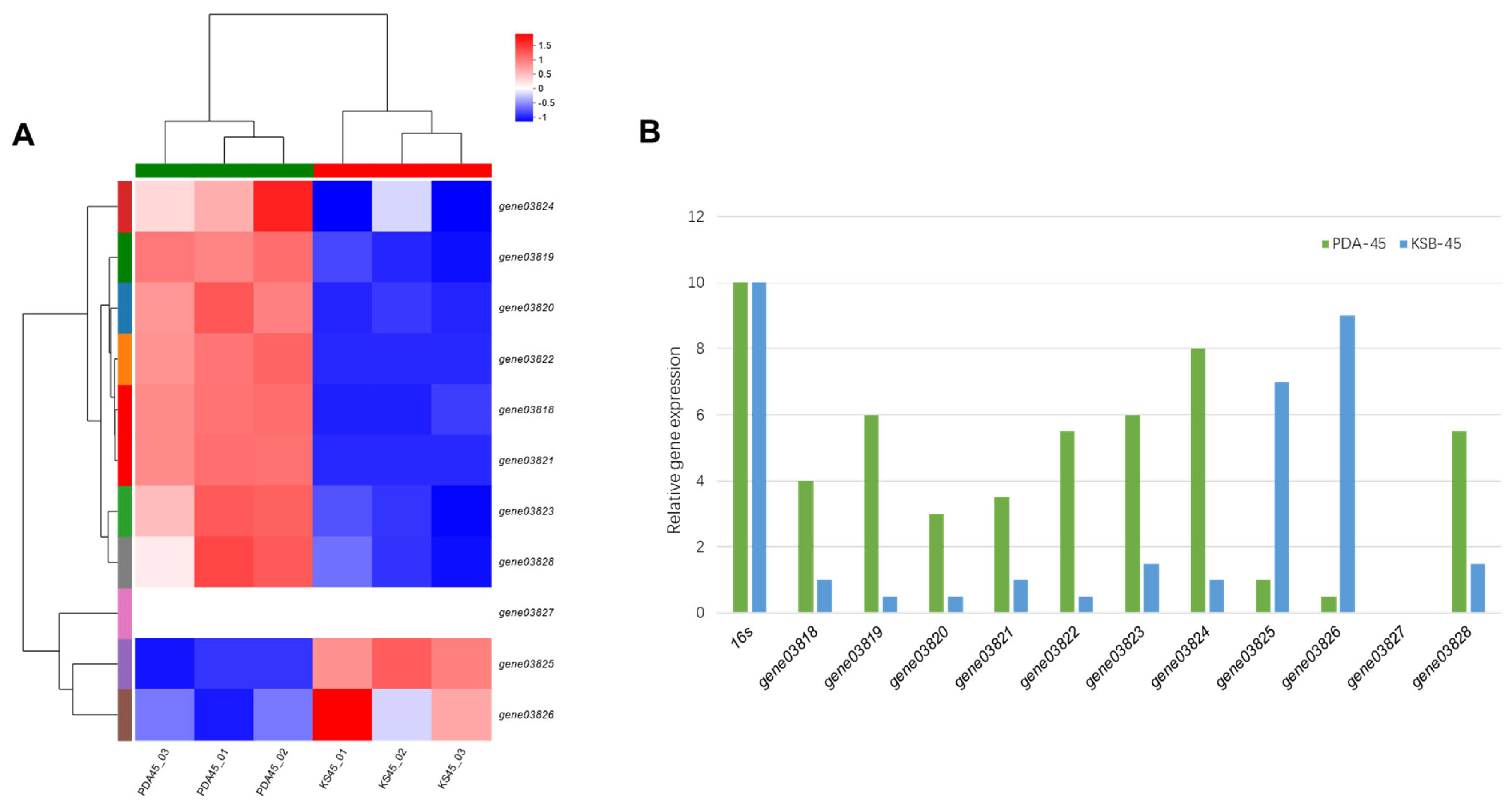 Marinedrugs 22 00236 g004