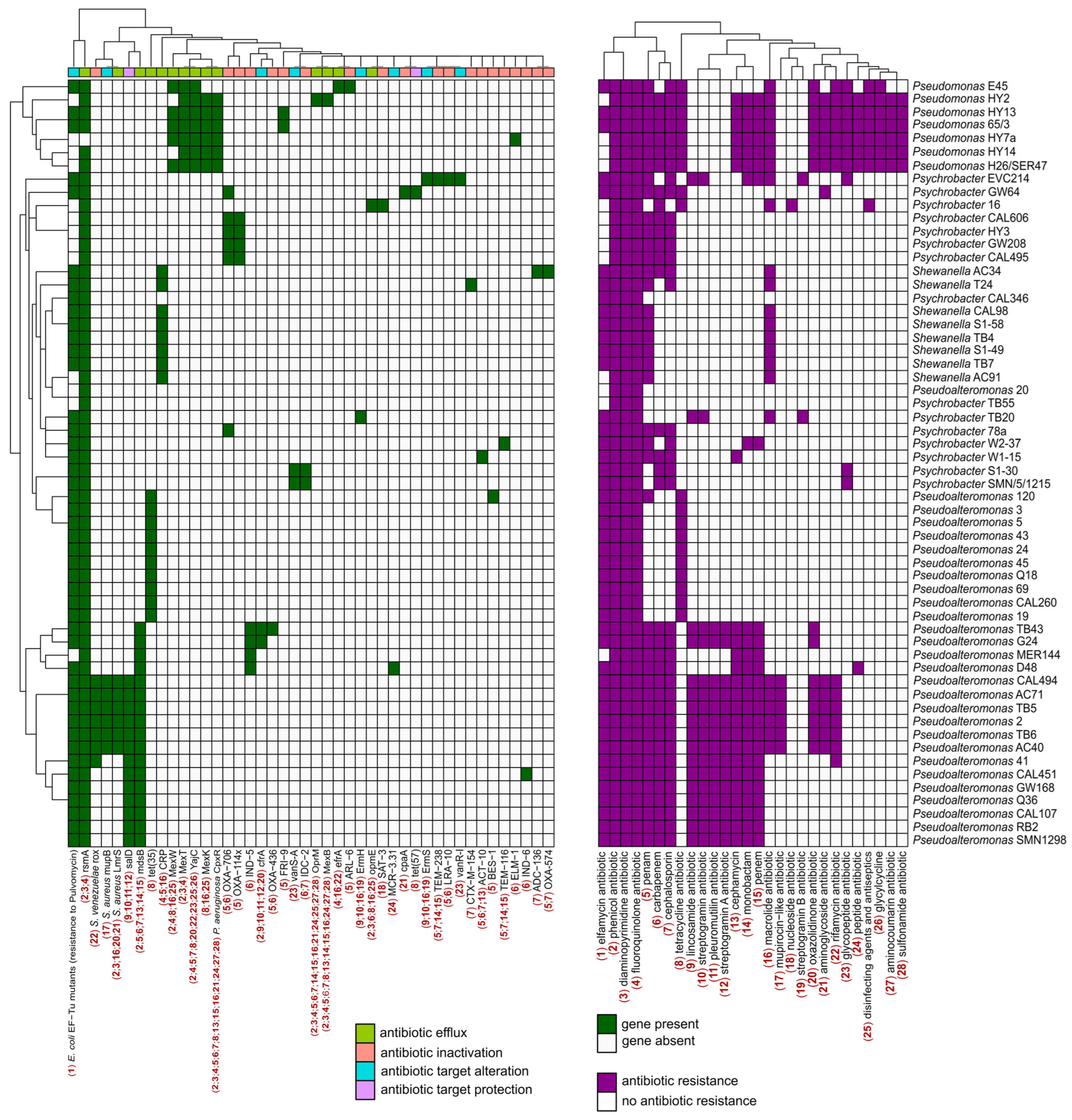Marinedrugs 22 00238 g005