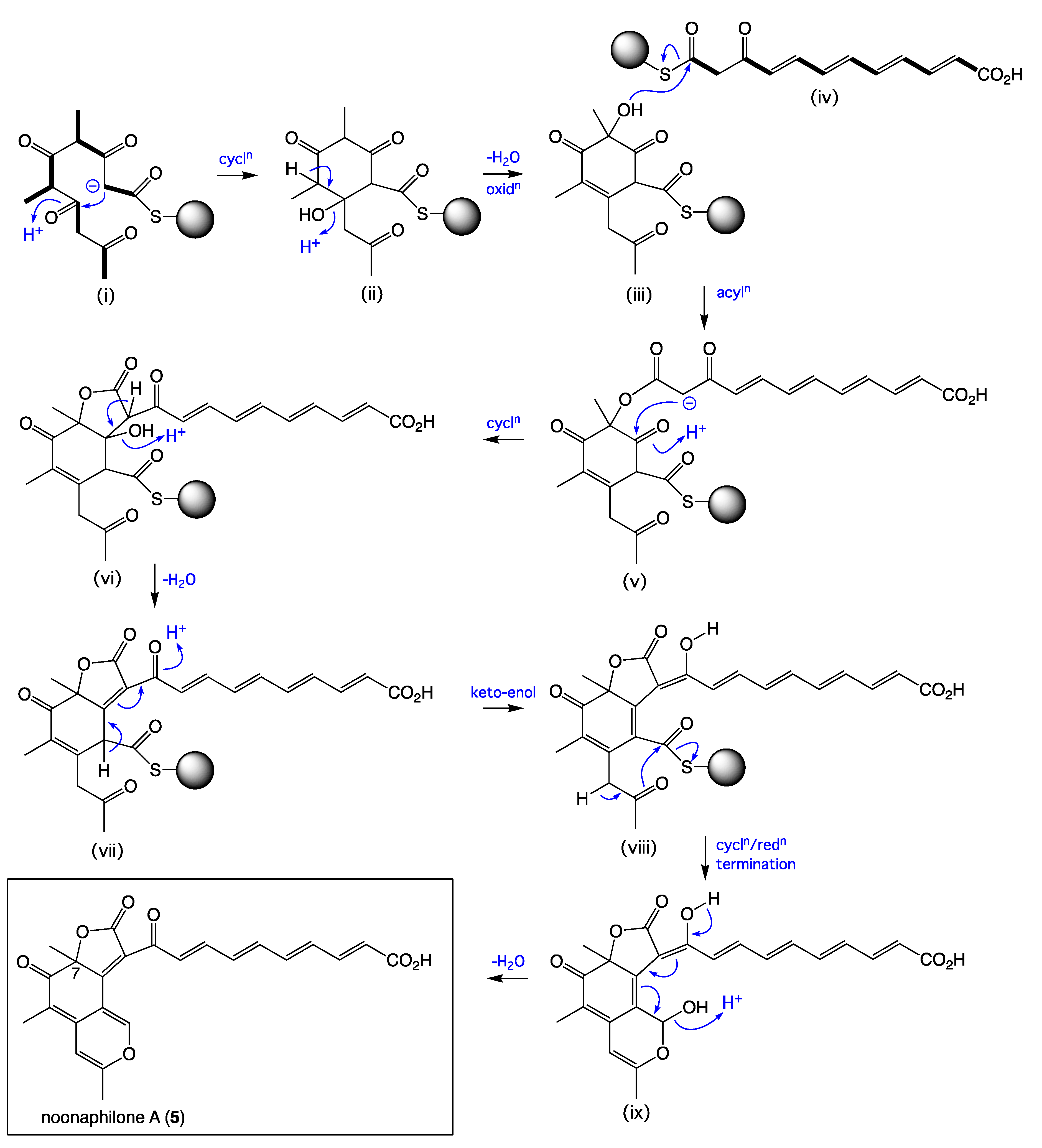 Marinedrugs 22 00243 sch002