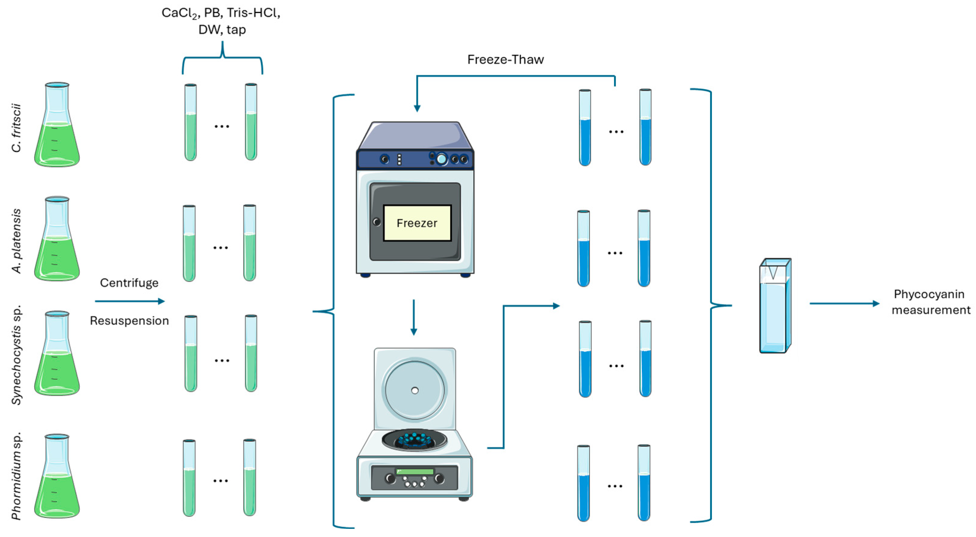 Marinedrugs 22 00246 g005
