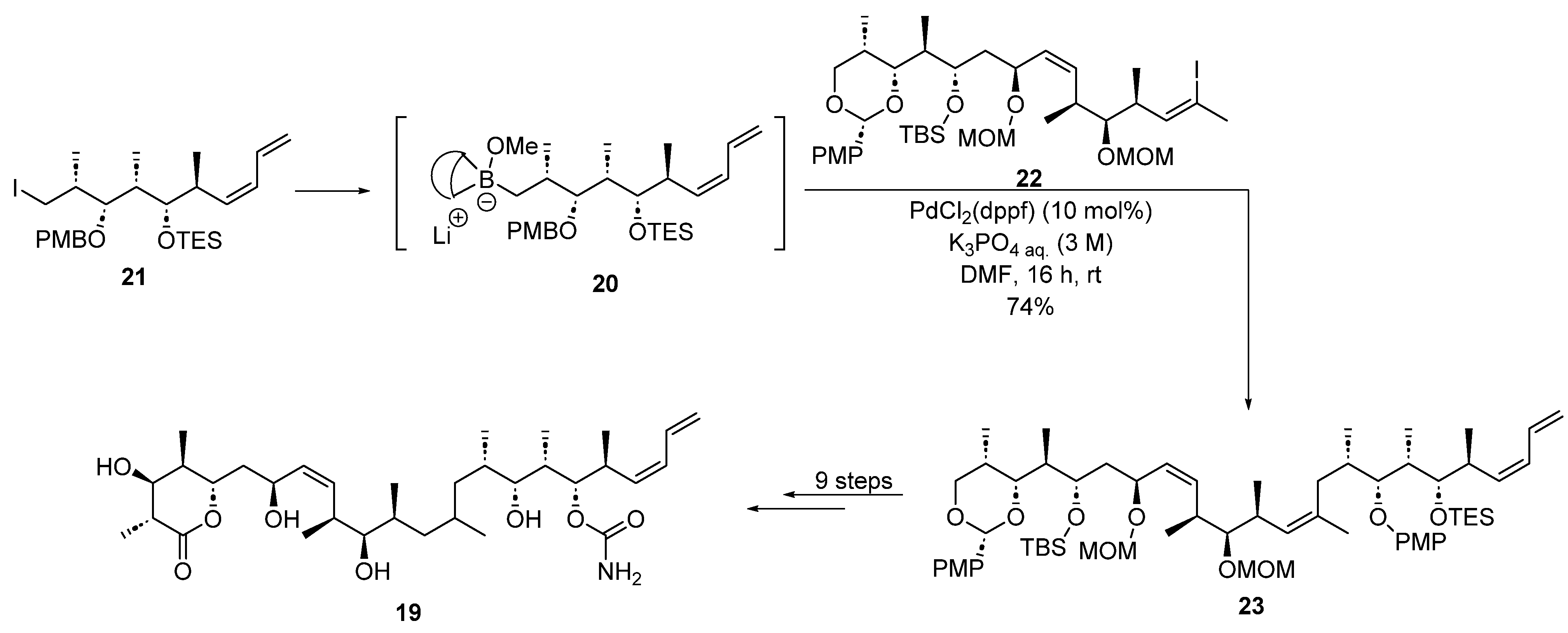 Marinedrugs 22 00253 sch007