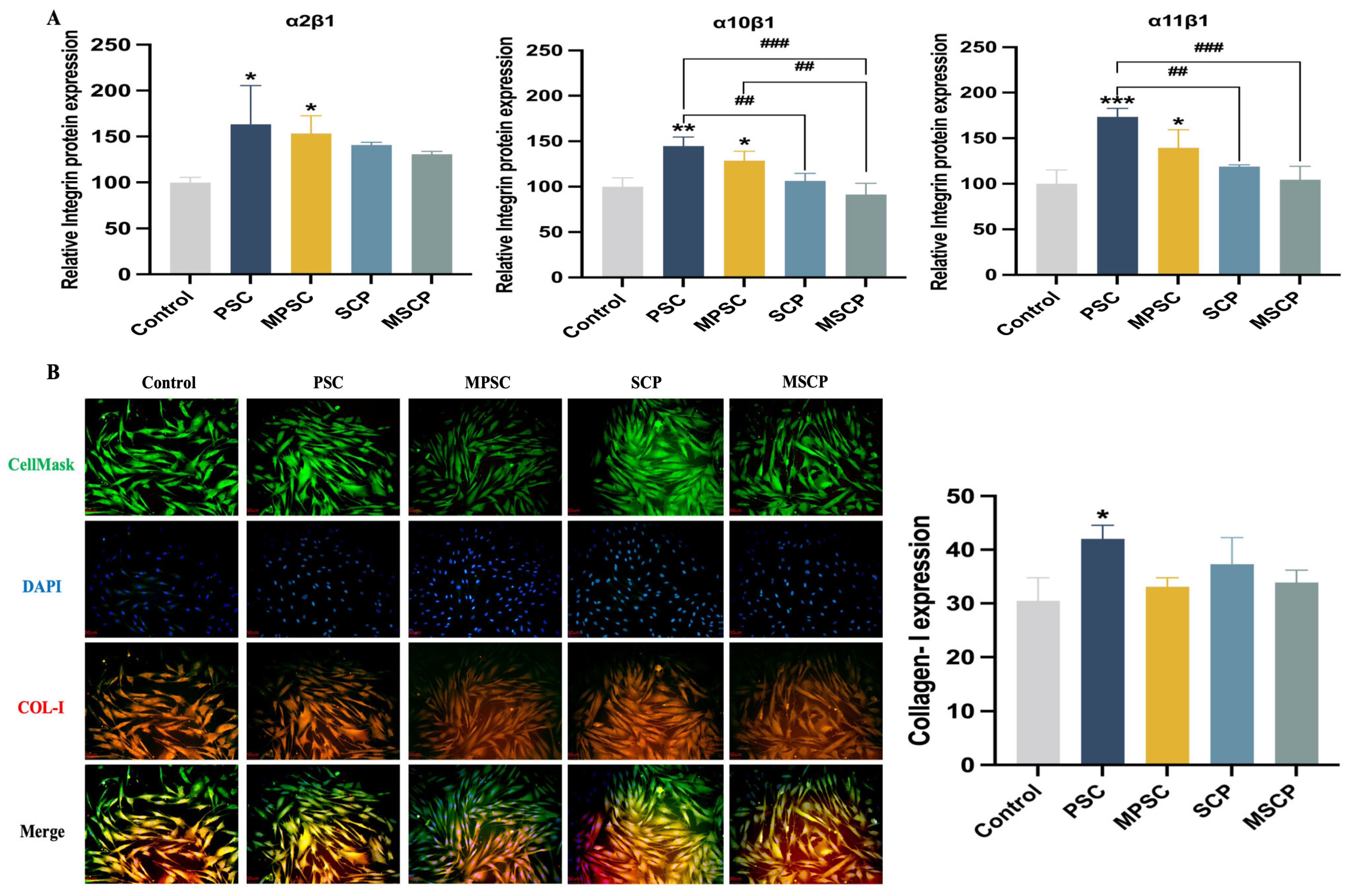 Marinedrugs 22 00255 g006