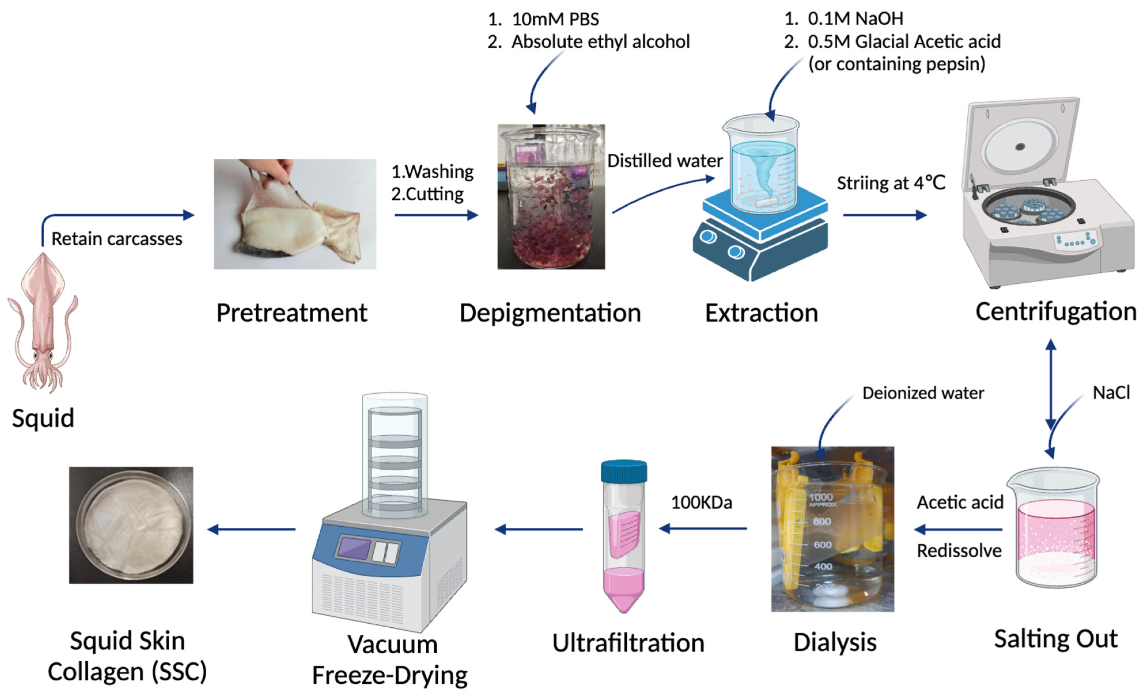 Marinedrugs 22 00255 g008