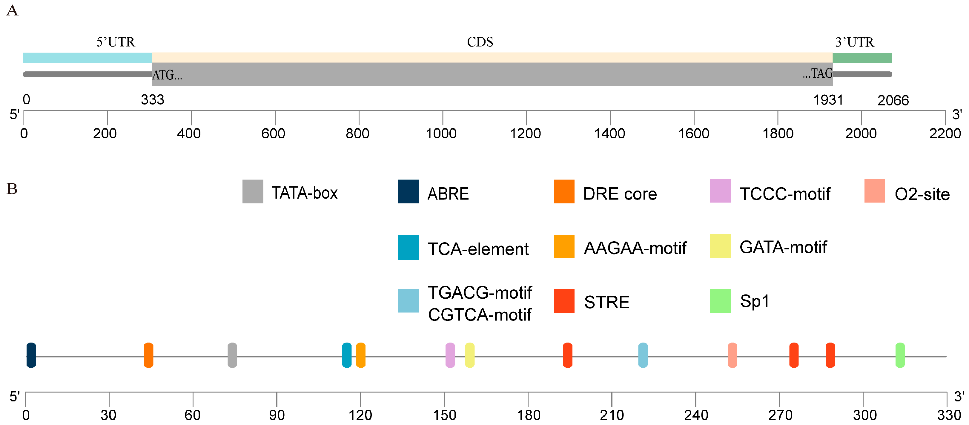 Marinedrugs 22 00257 g001