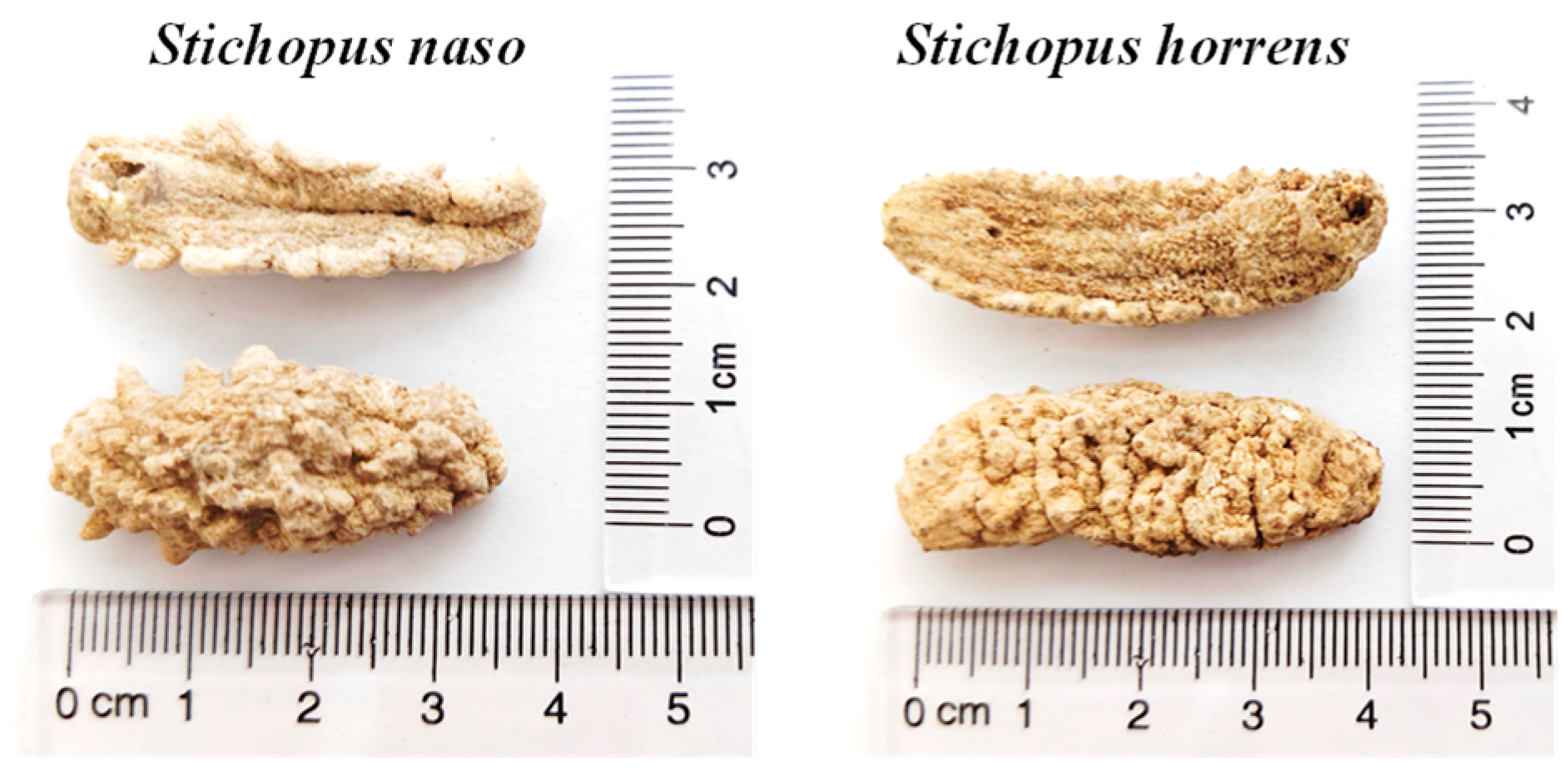 Marinedrugs 22 00265 g001