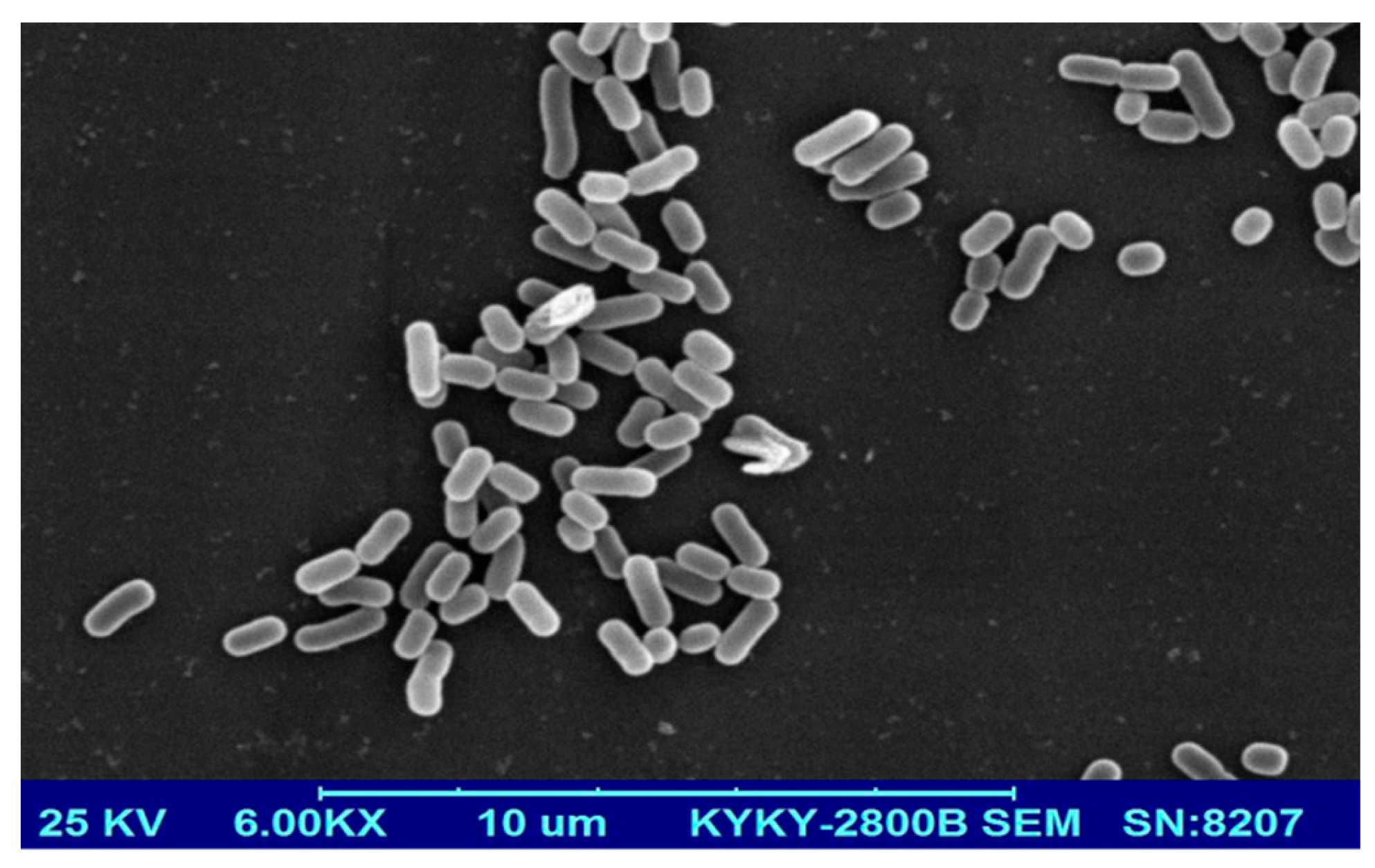 Marinedrugs 22 00267 g001