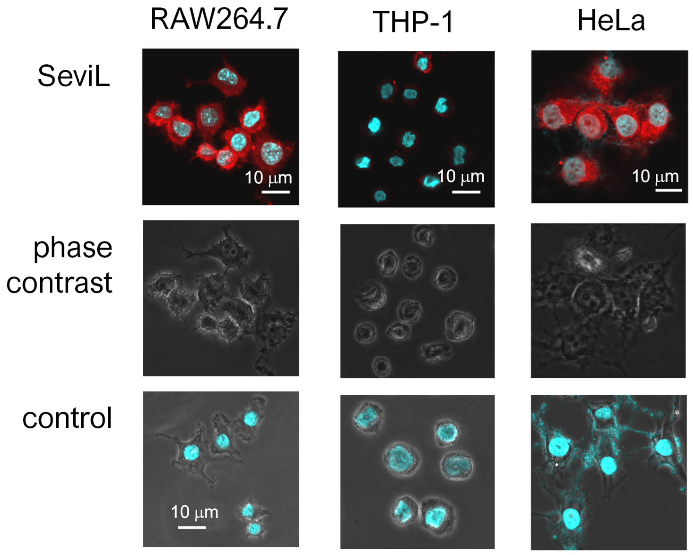 Marinedrugs 22 00269 g004