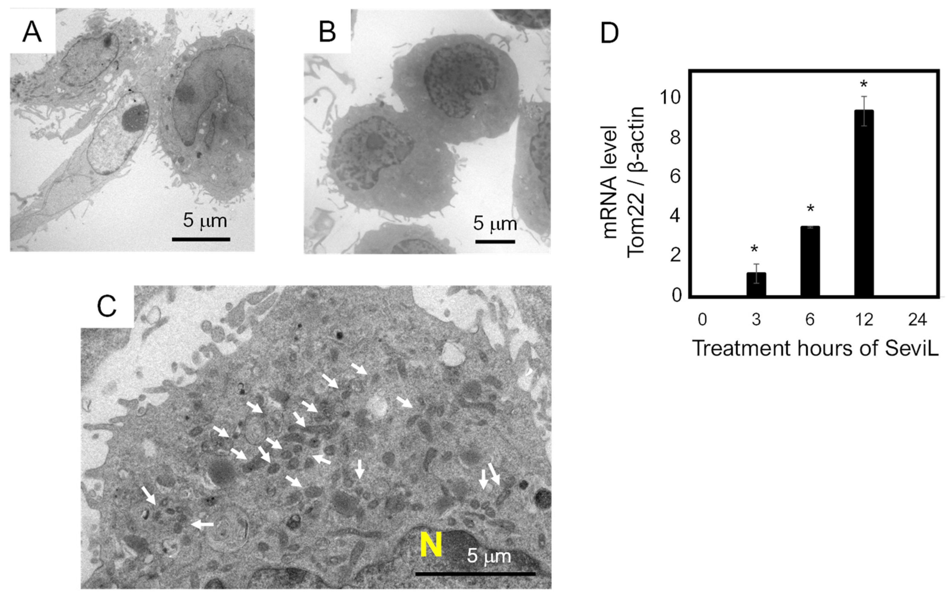 Marinedrugs 22 00269 g005