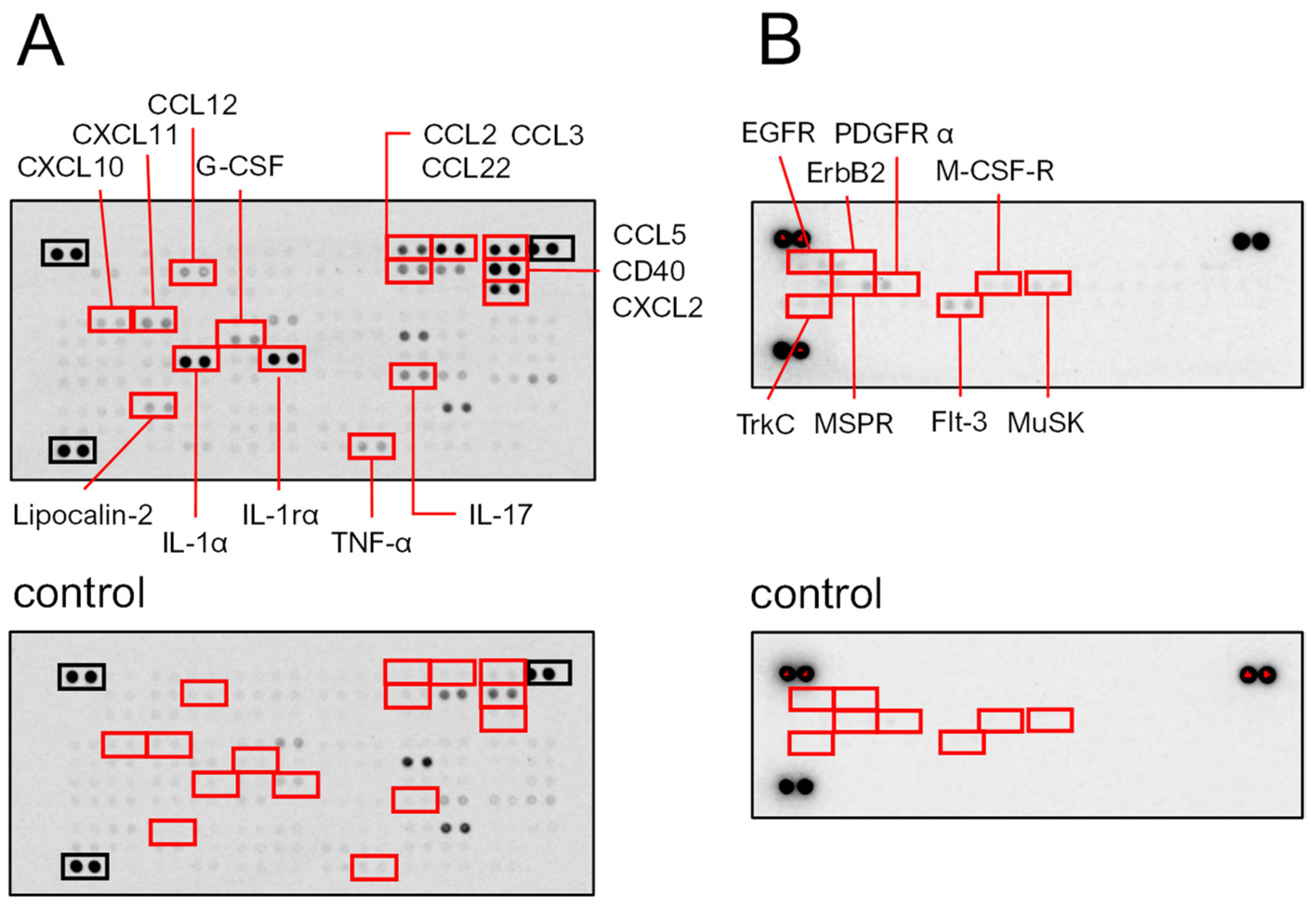 Marinedrugs 22 00269 g007