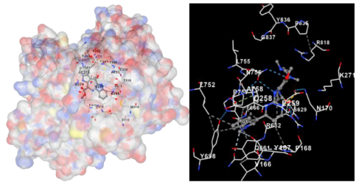 Marinedrugs 22 00272 i001