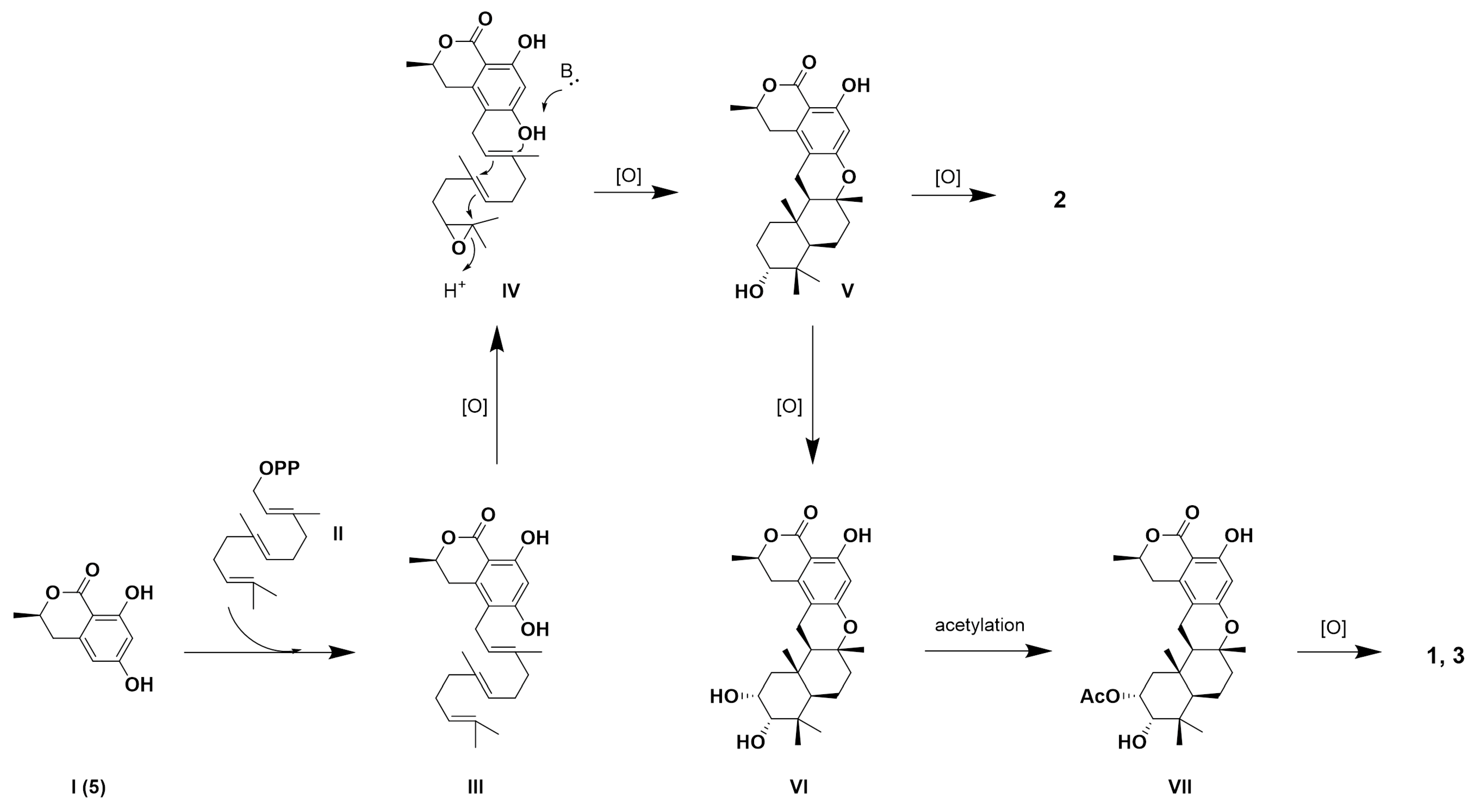 Marinedrugs 22 00274 g004