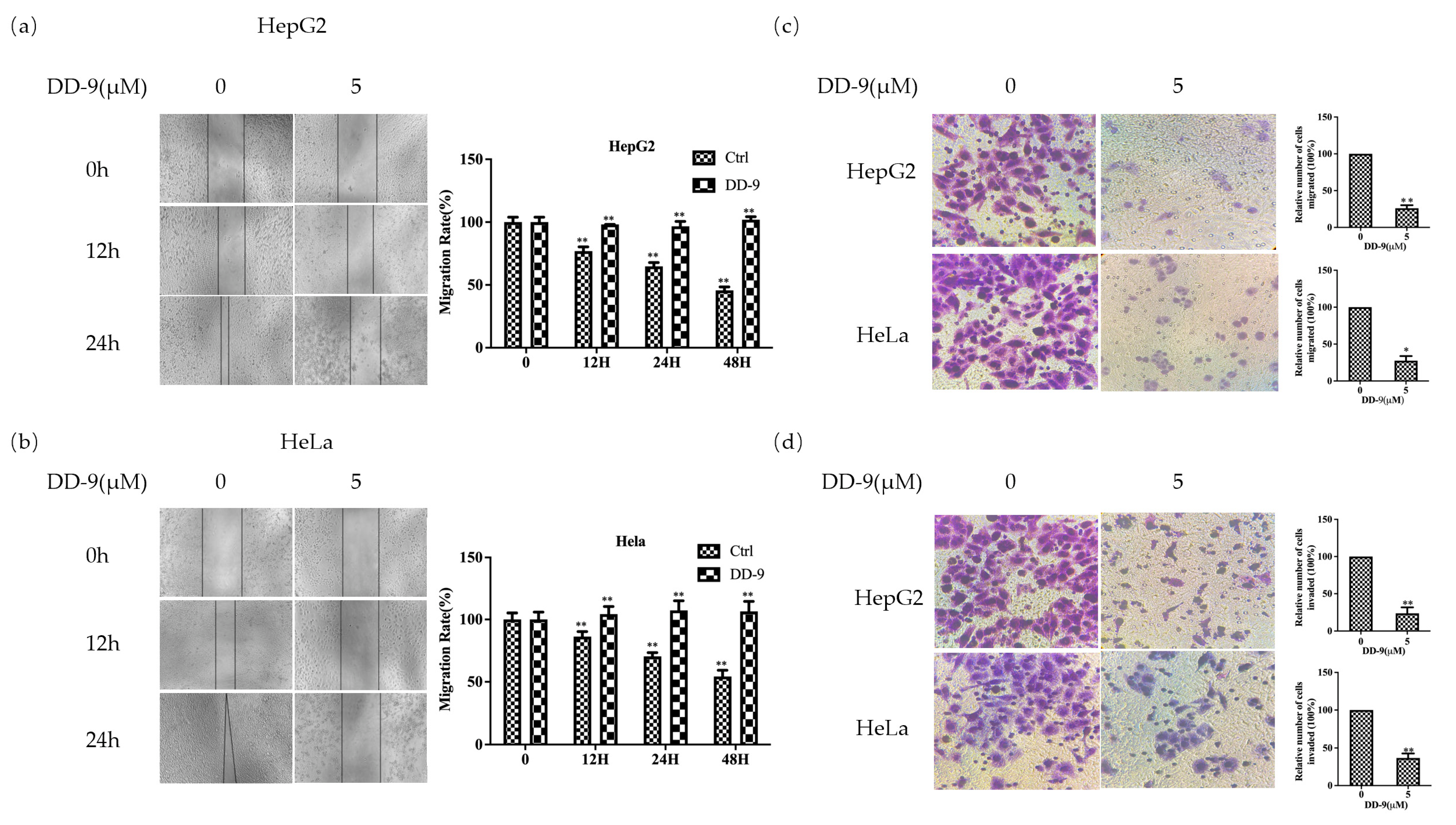 Marinedrugs 22 00278 g002