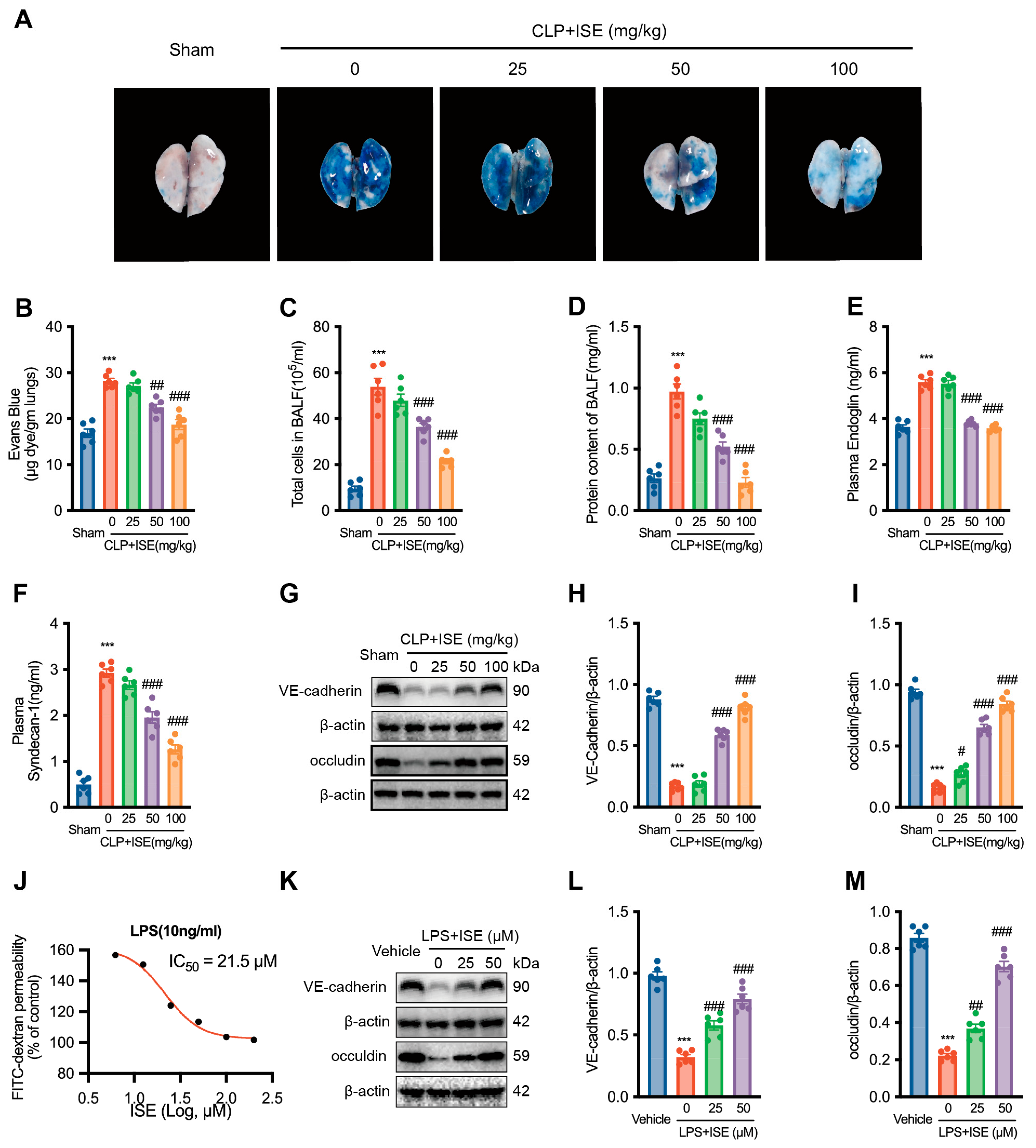 Marinedrugs 22 00283 g002
