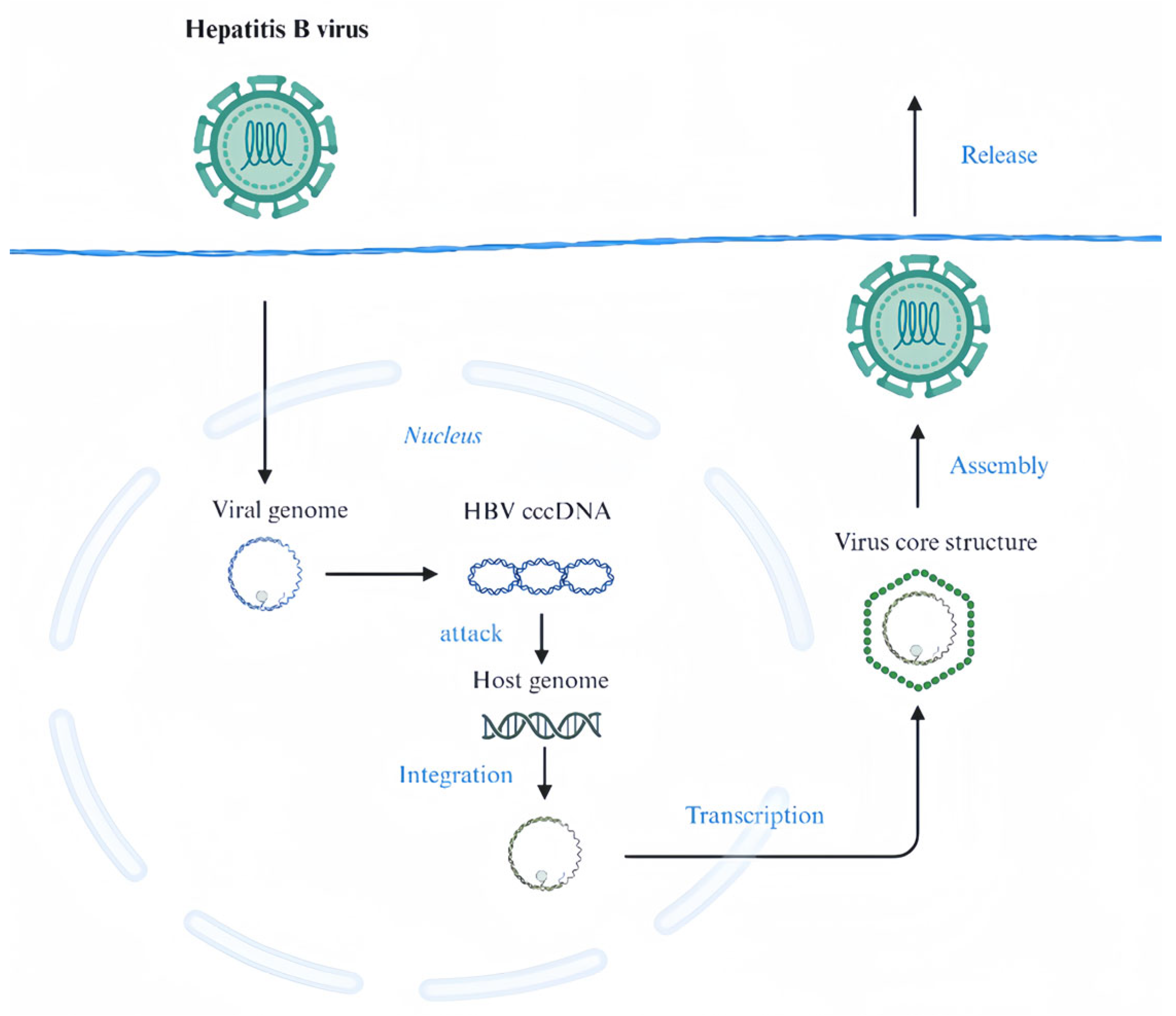Marinedrugs 22 00288 g003 Marinedrugs 22 00288 g003