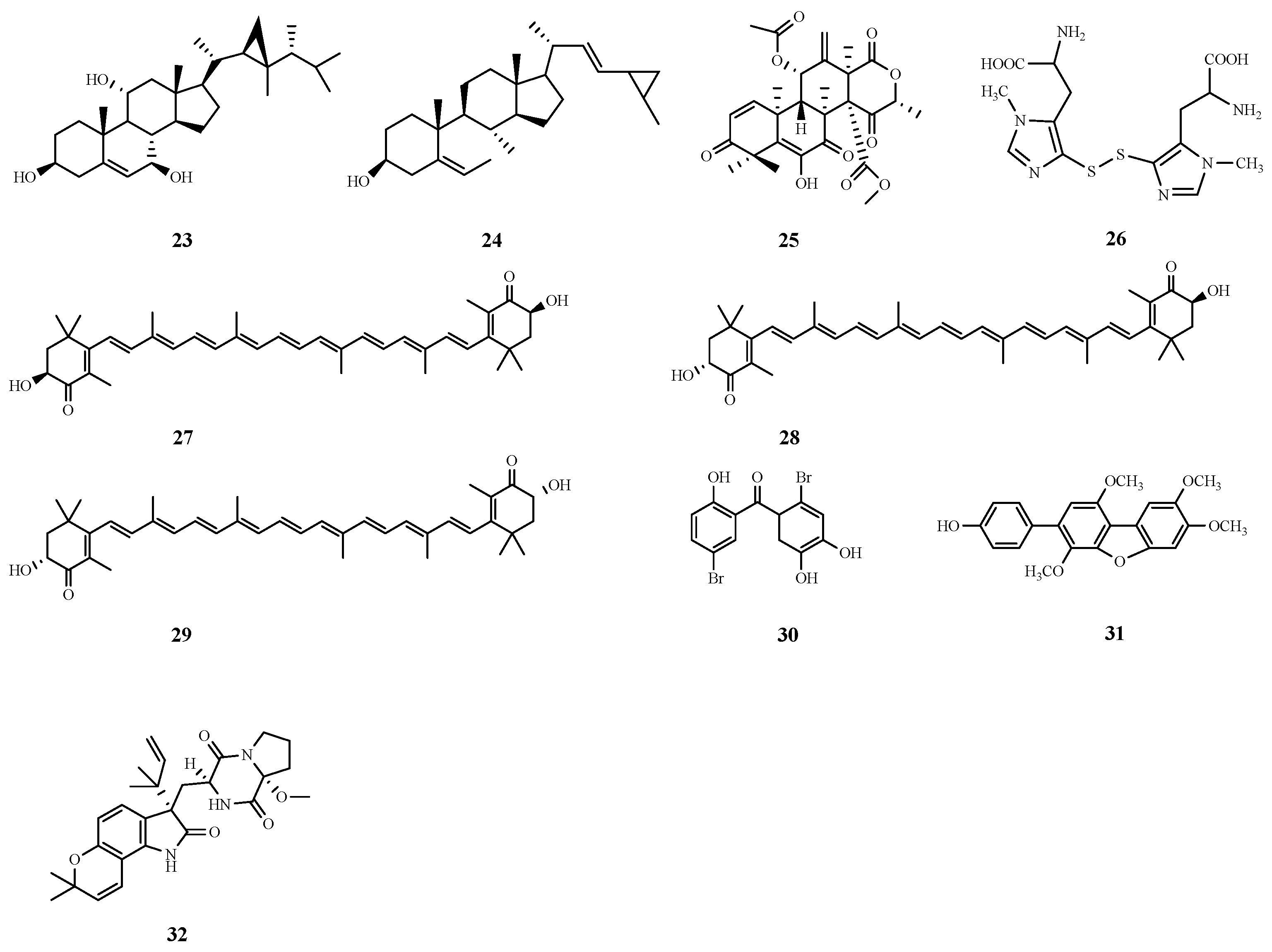 Marinedrugs 22 00288 g007 Marinedrugs 22 00288 g007
