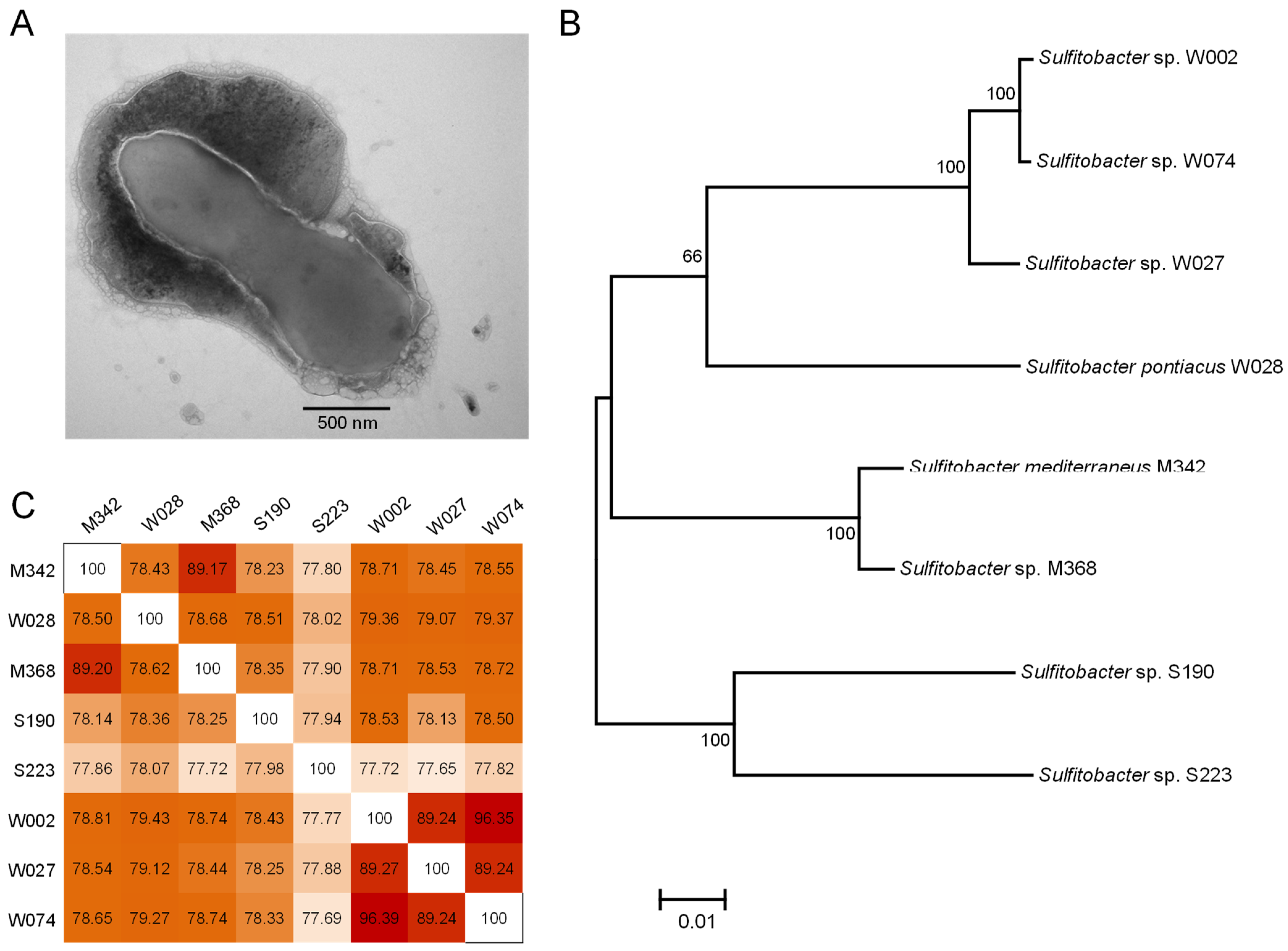 Marinedrugs 22 00289 g001