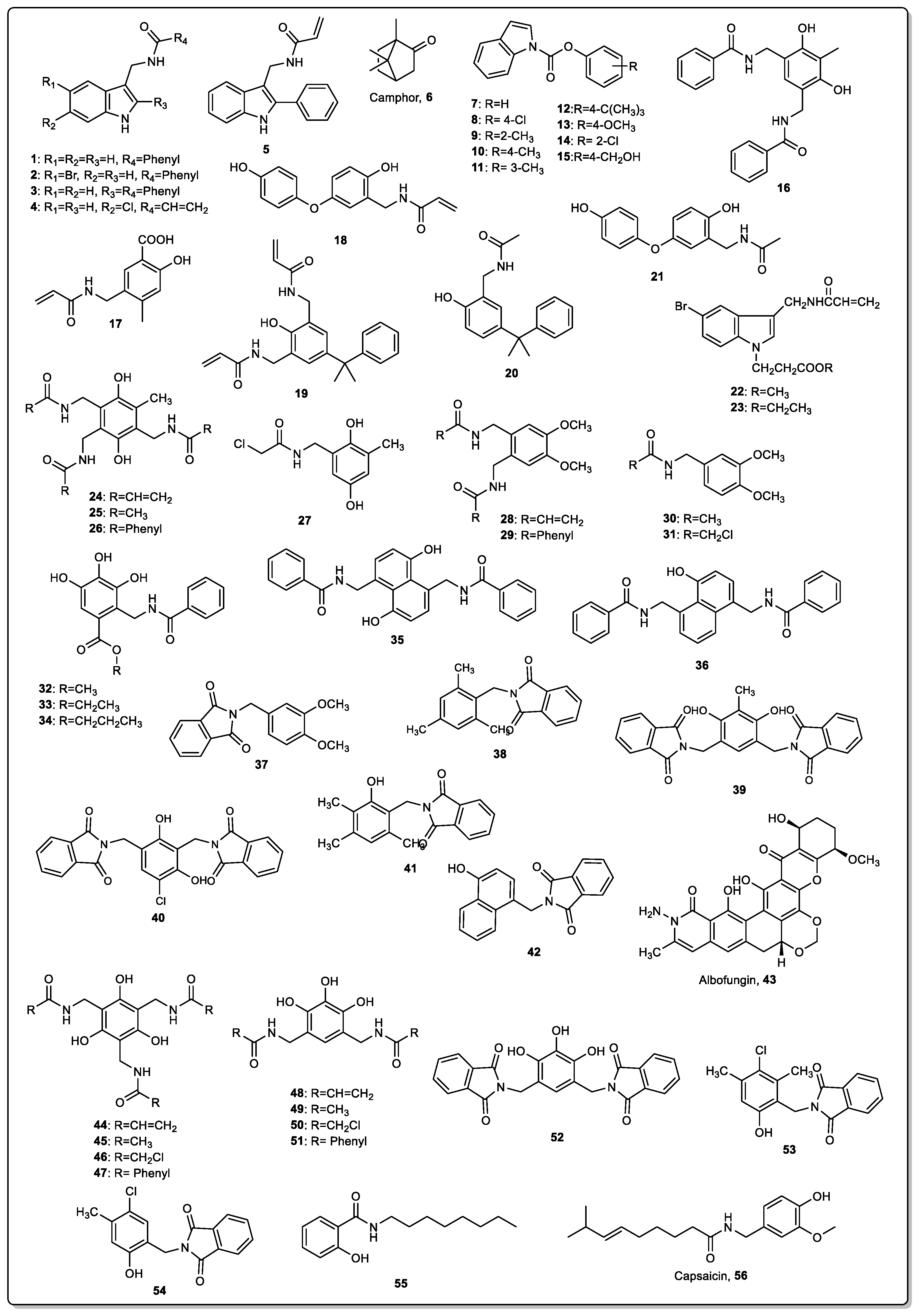 Marinedrugs 22 00291 g001 Marinedrugs 22 00291 g001
