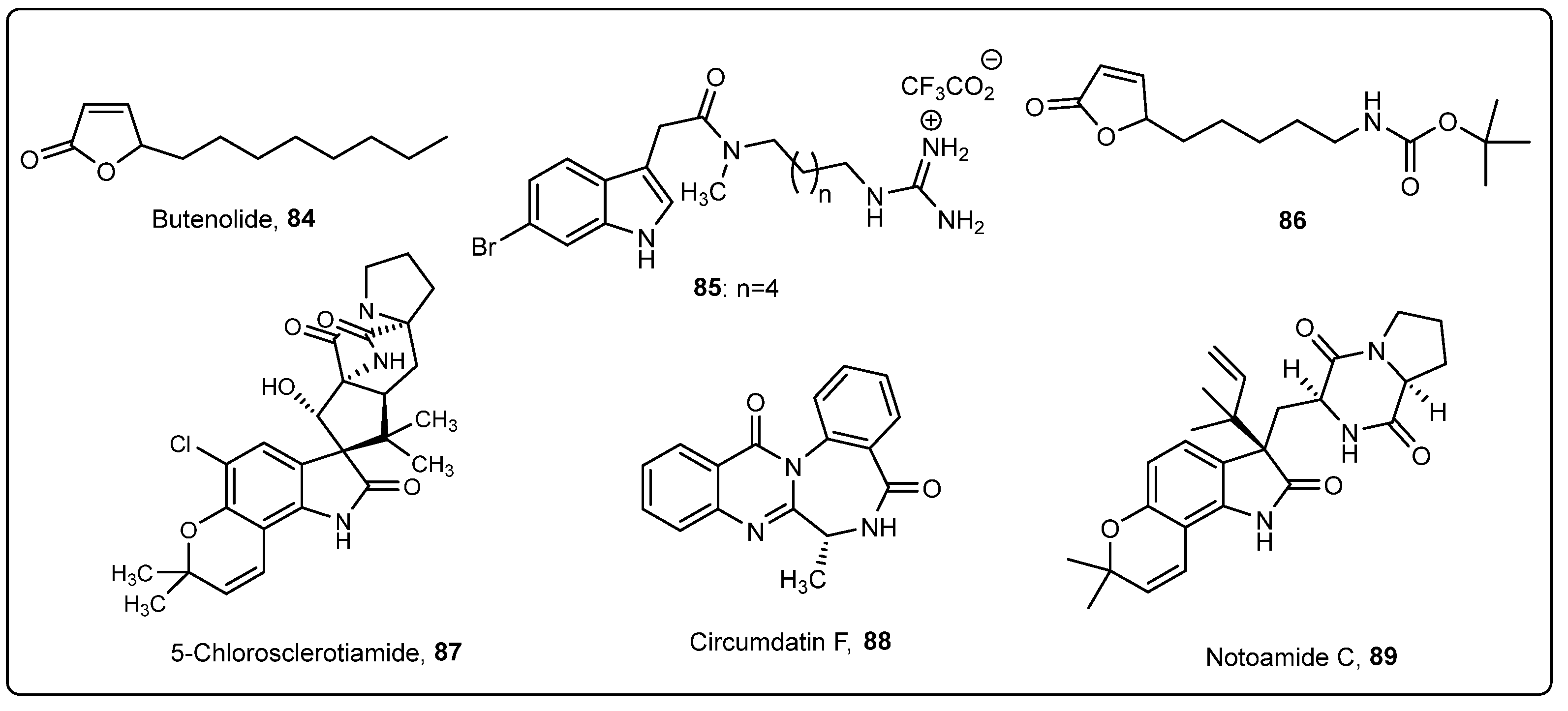 Marinedrugs 22 00291 g003 Marinedrugs 22 00291 g003