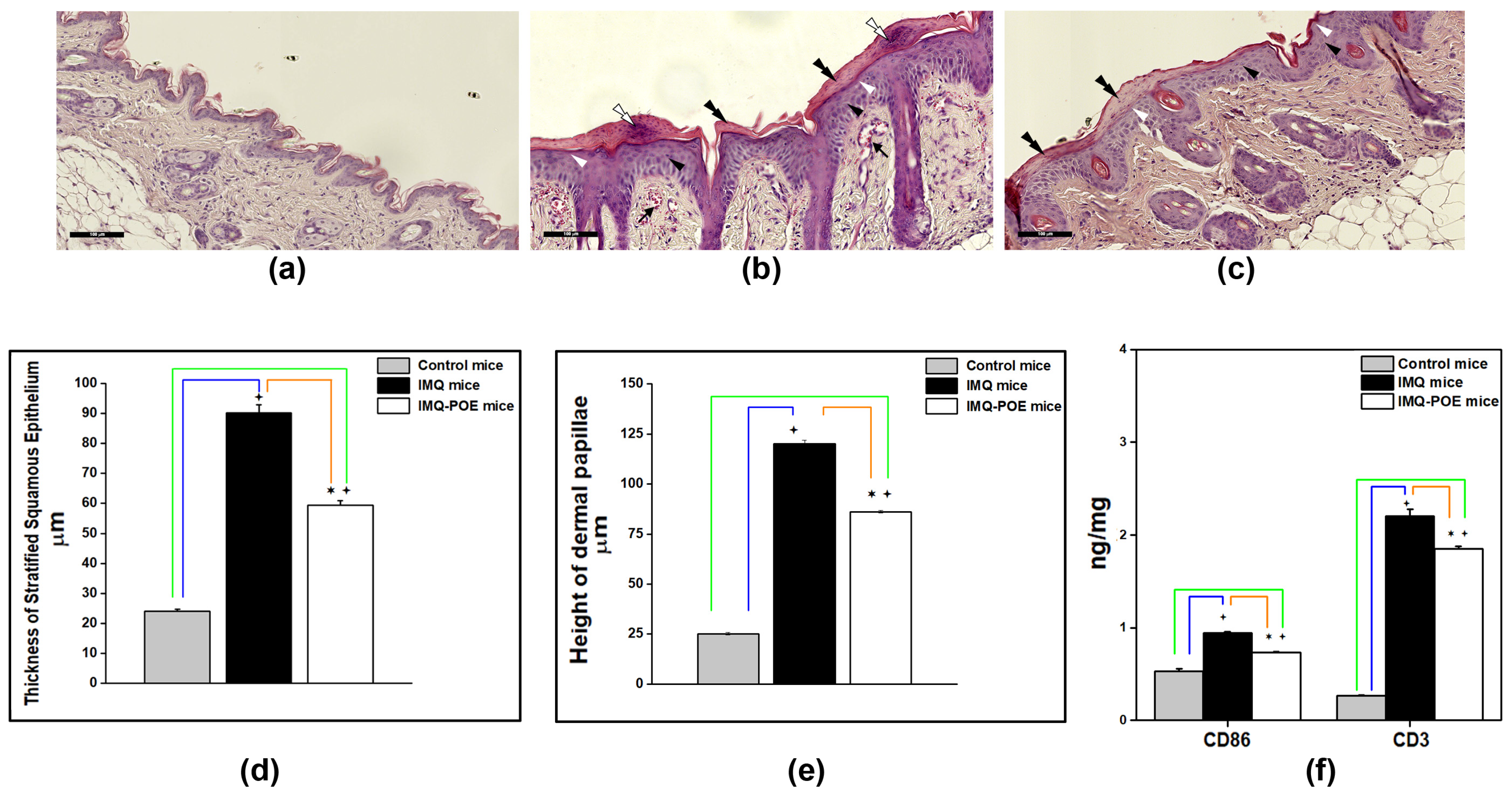 Marinedrugs 22 00300 g005
