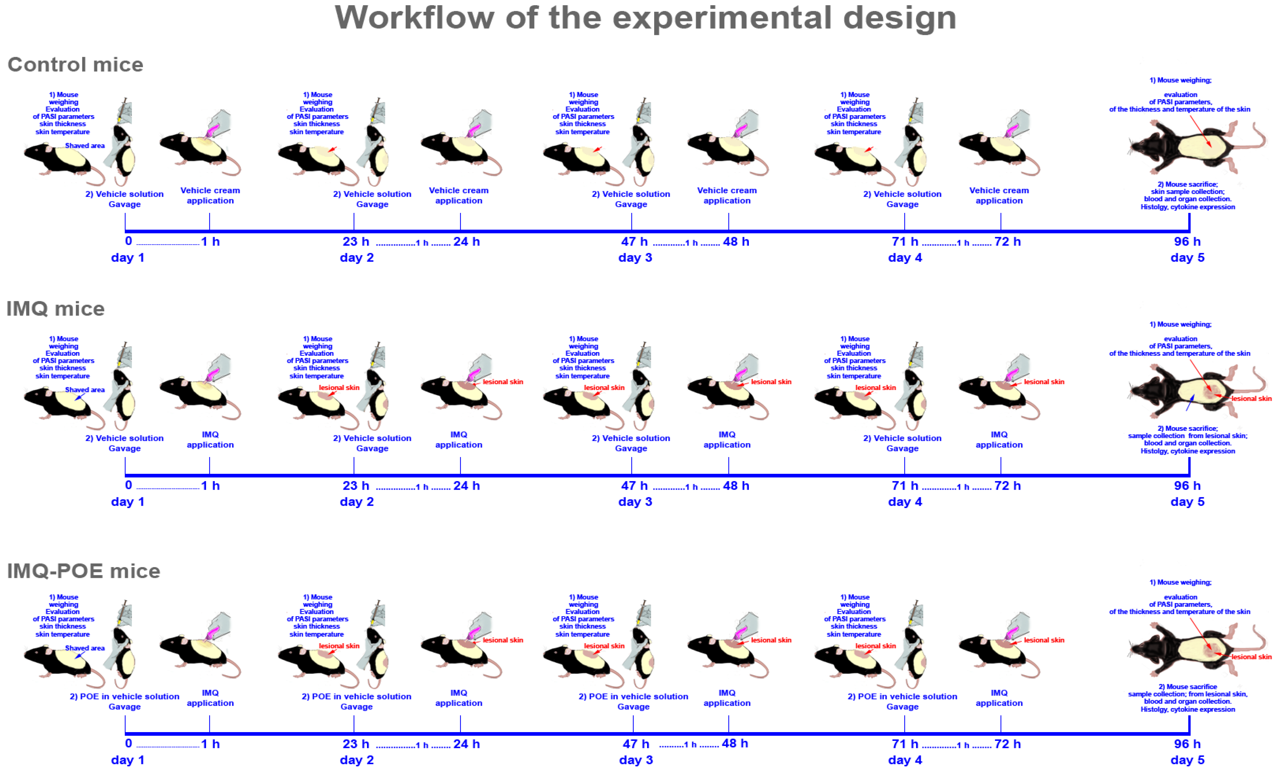 Marinedrugs 22 00300 sch001