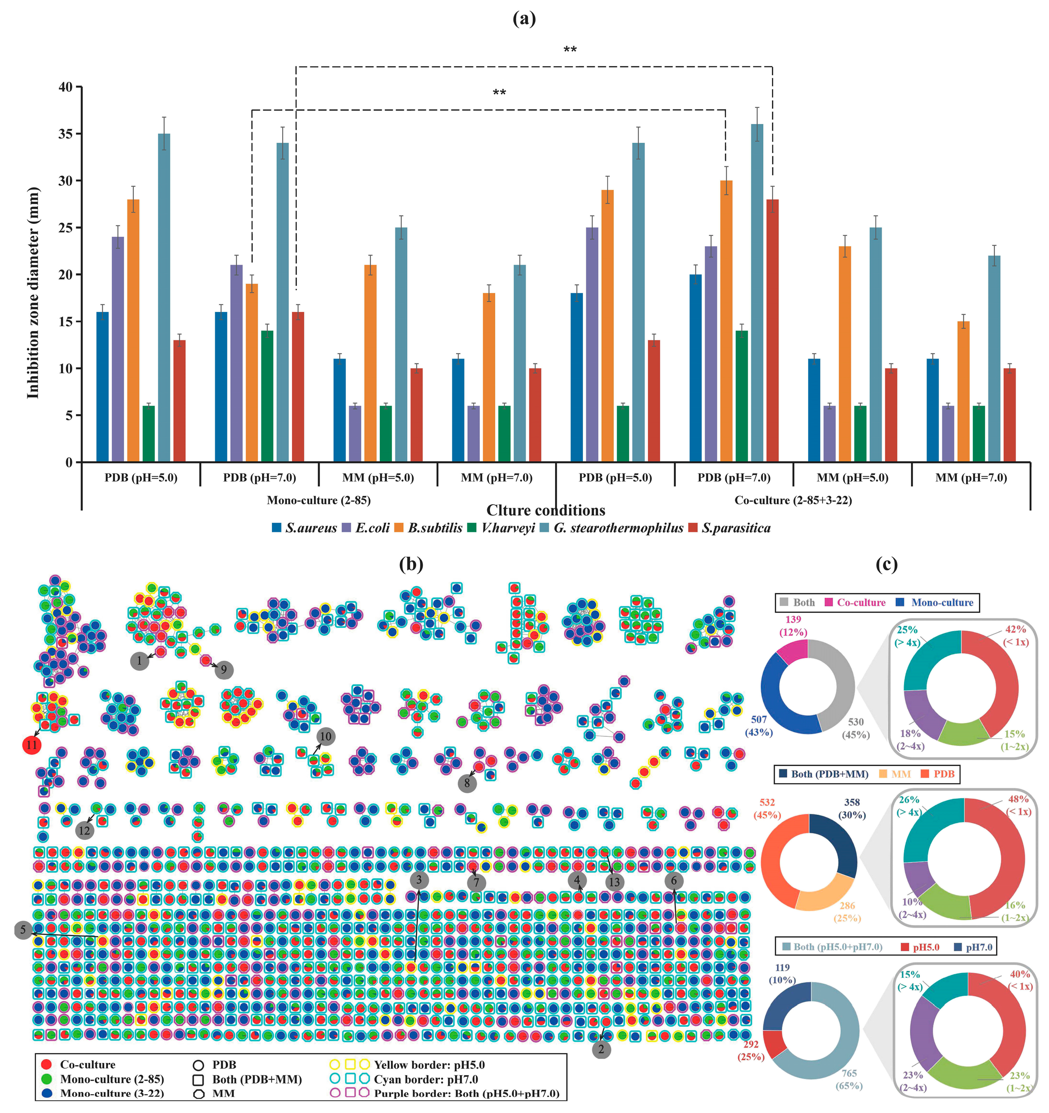 Marinedrugs 22 00302 g001