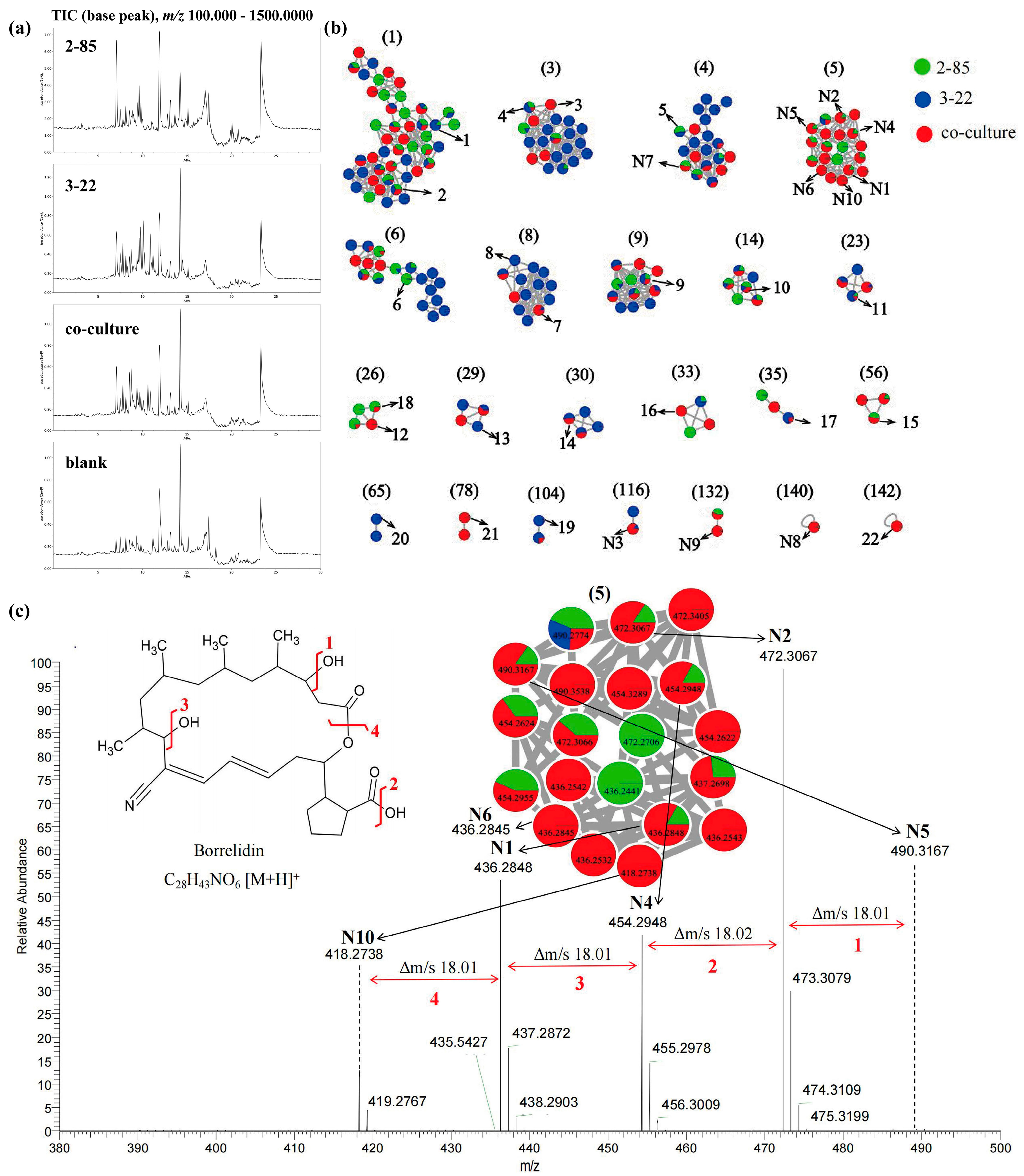 Marinedrugs 22 00302 g003