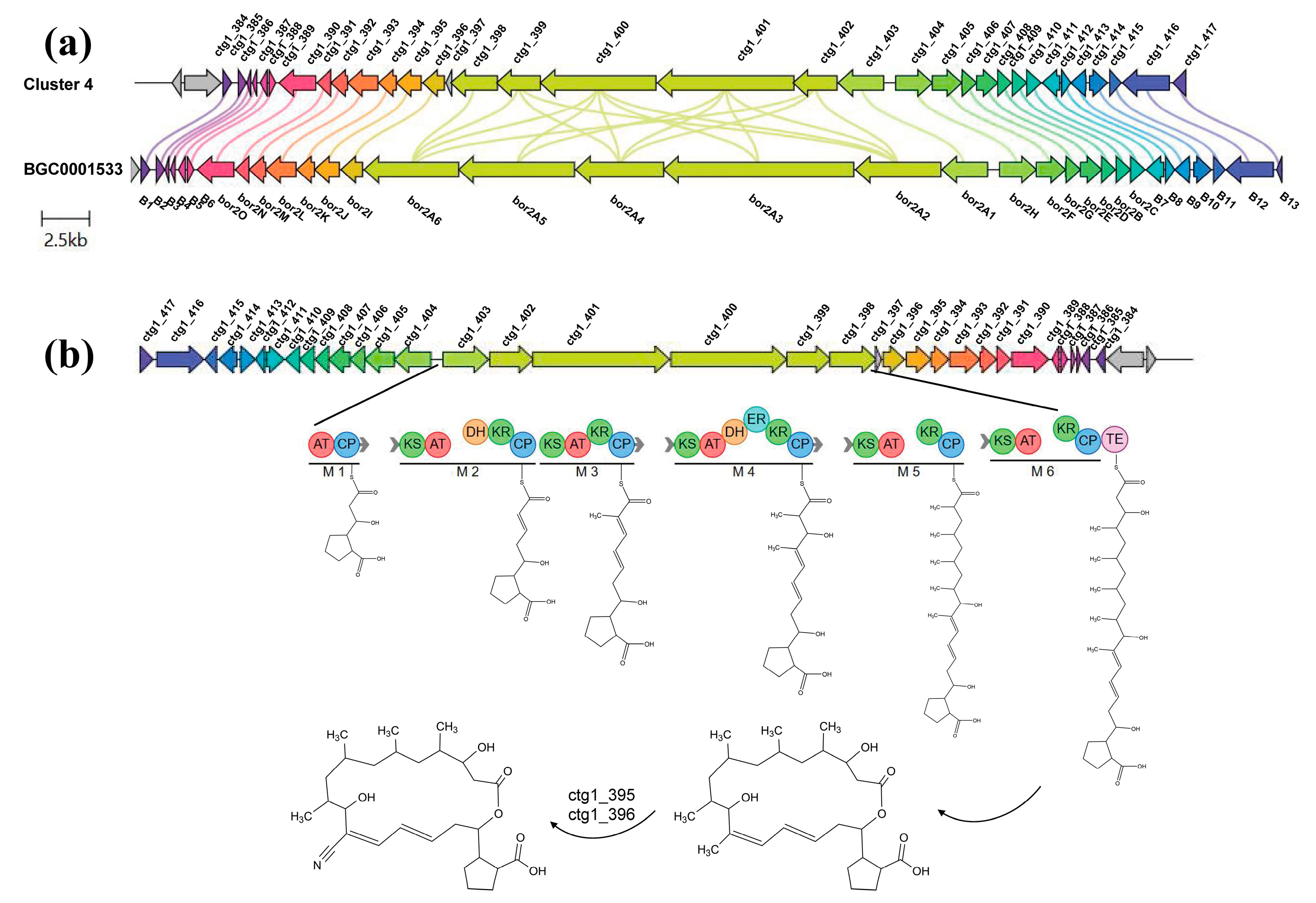 Marinedrugs 22 00302 g004