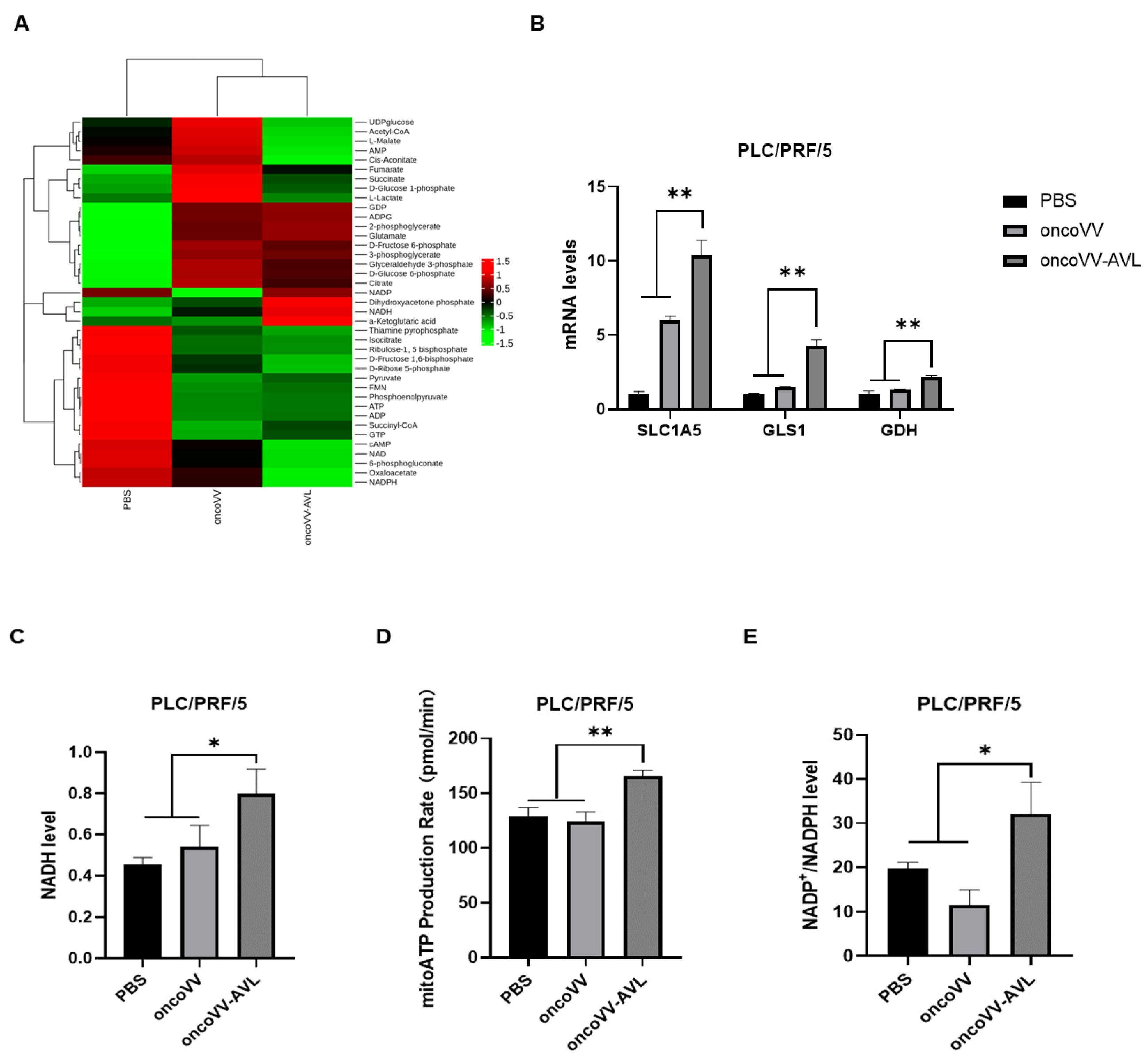 Marinedrugs 22 00307 g002 Marinedrugs 22 00307 g002