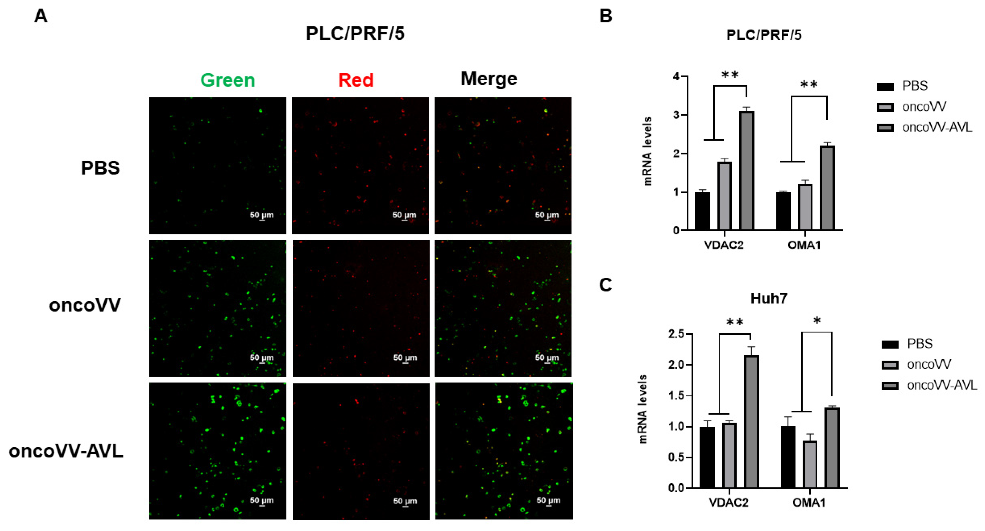 Marinedrugs 22 00307 g006 Marinedrugs 22 00307 g006