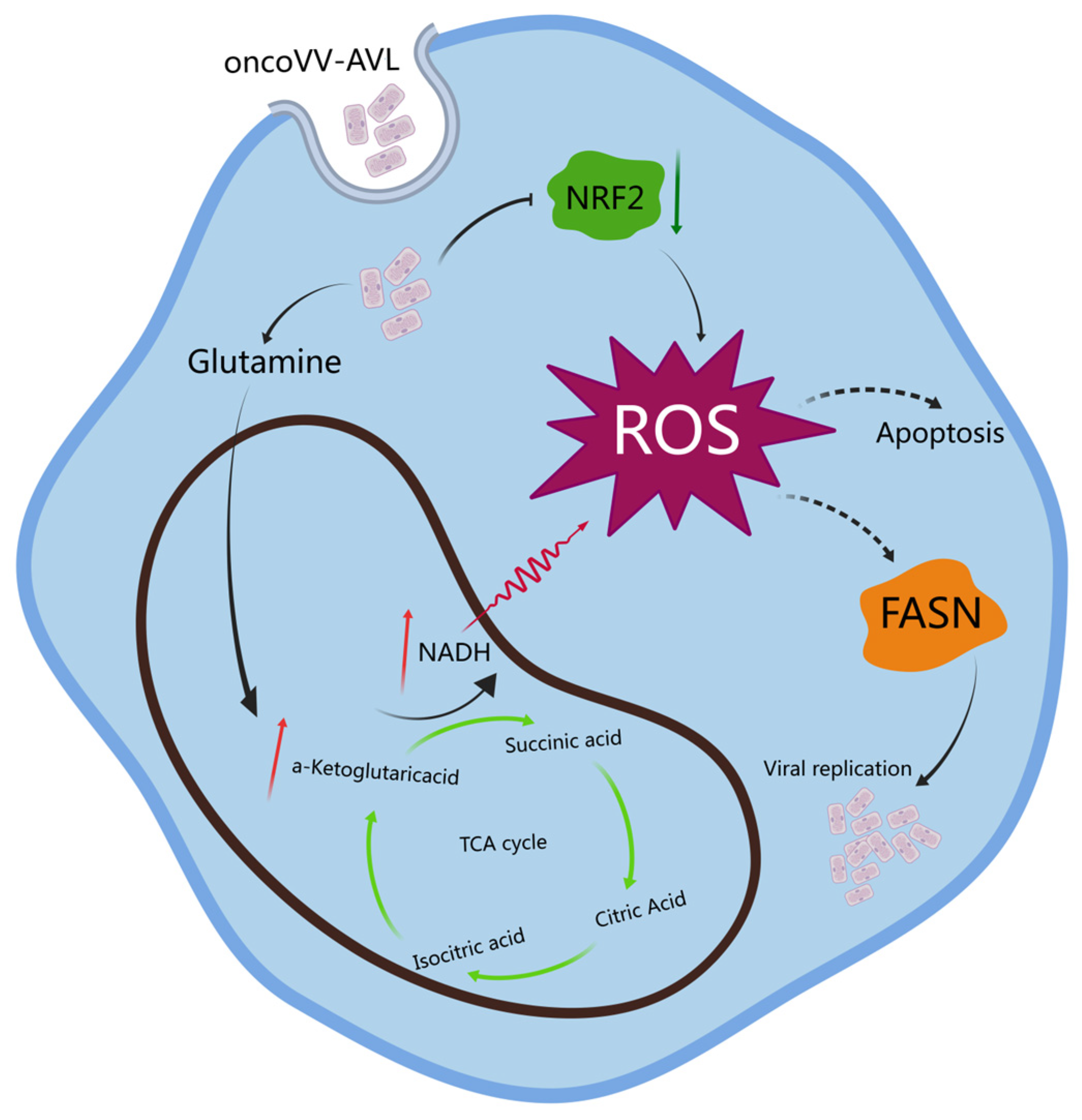 Marinedrugs 22 00307 g007 Marinedrugs 22 00307 g007