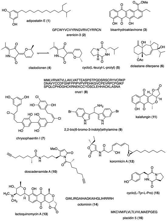 New Insights on Biological Activities, Chemical Compositions