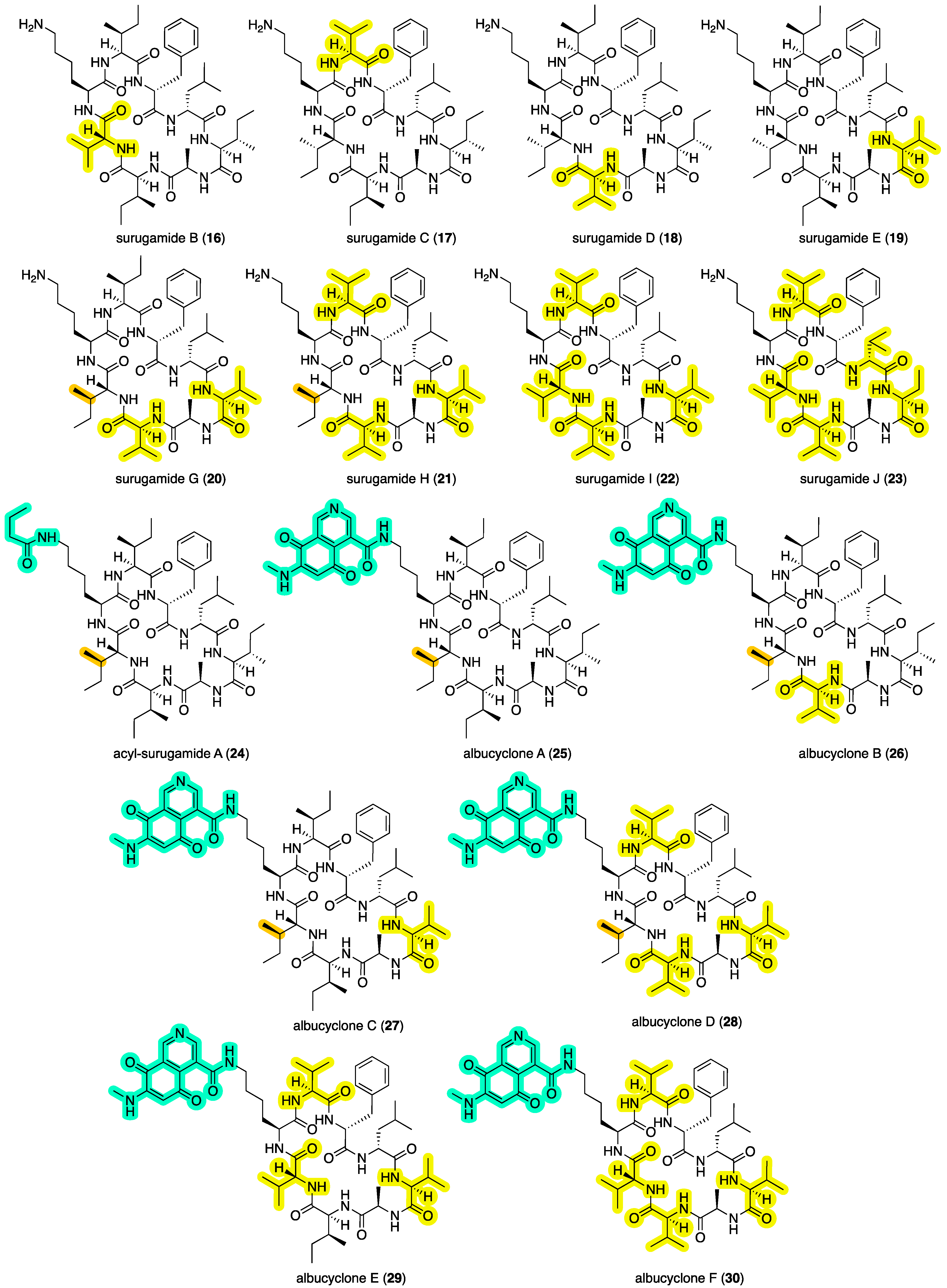 Marinedrugs 22 00312 g007