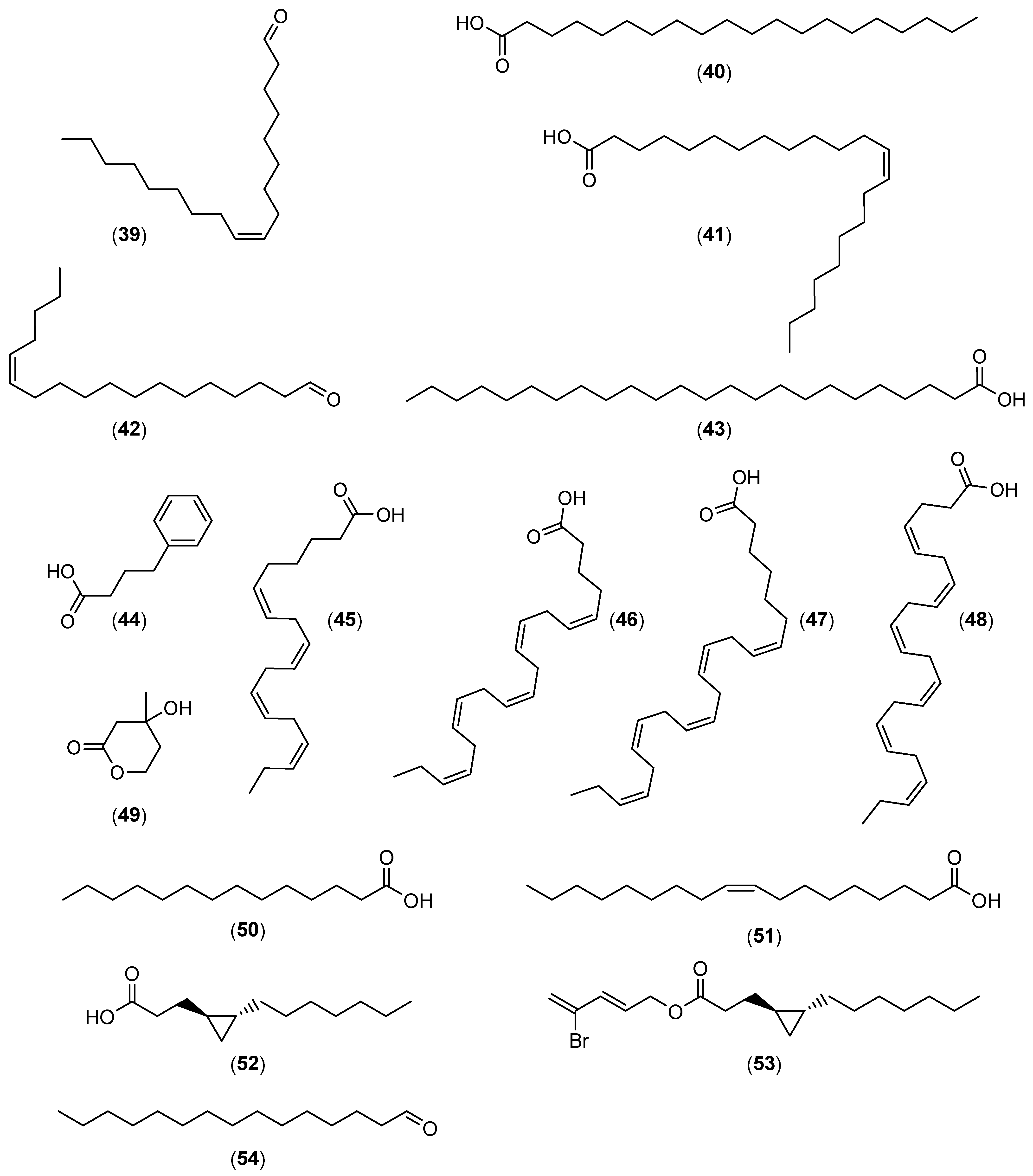 Marinedrugs 22 00313 g004