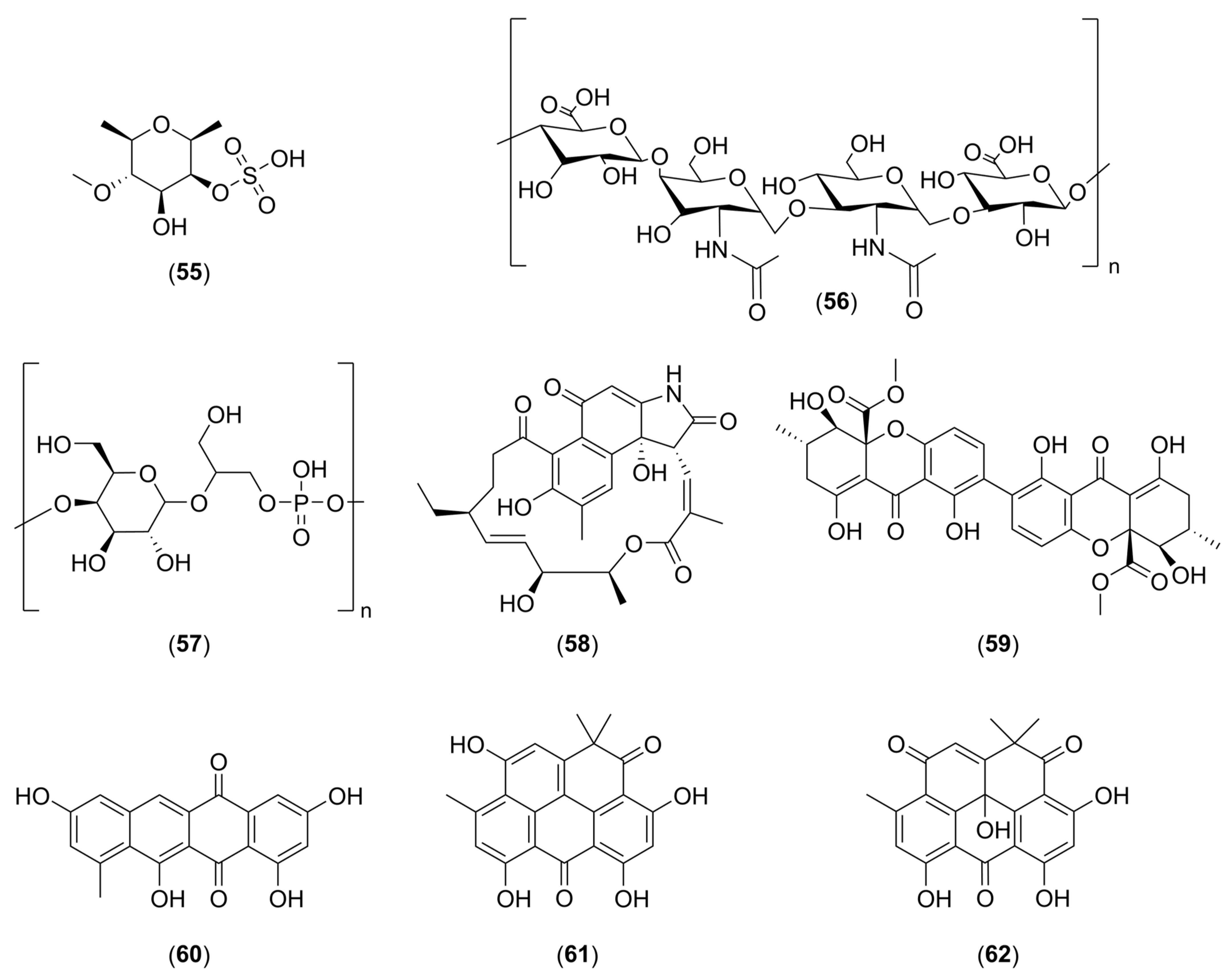 Marinedrugs 22 00313 g005