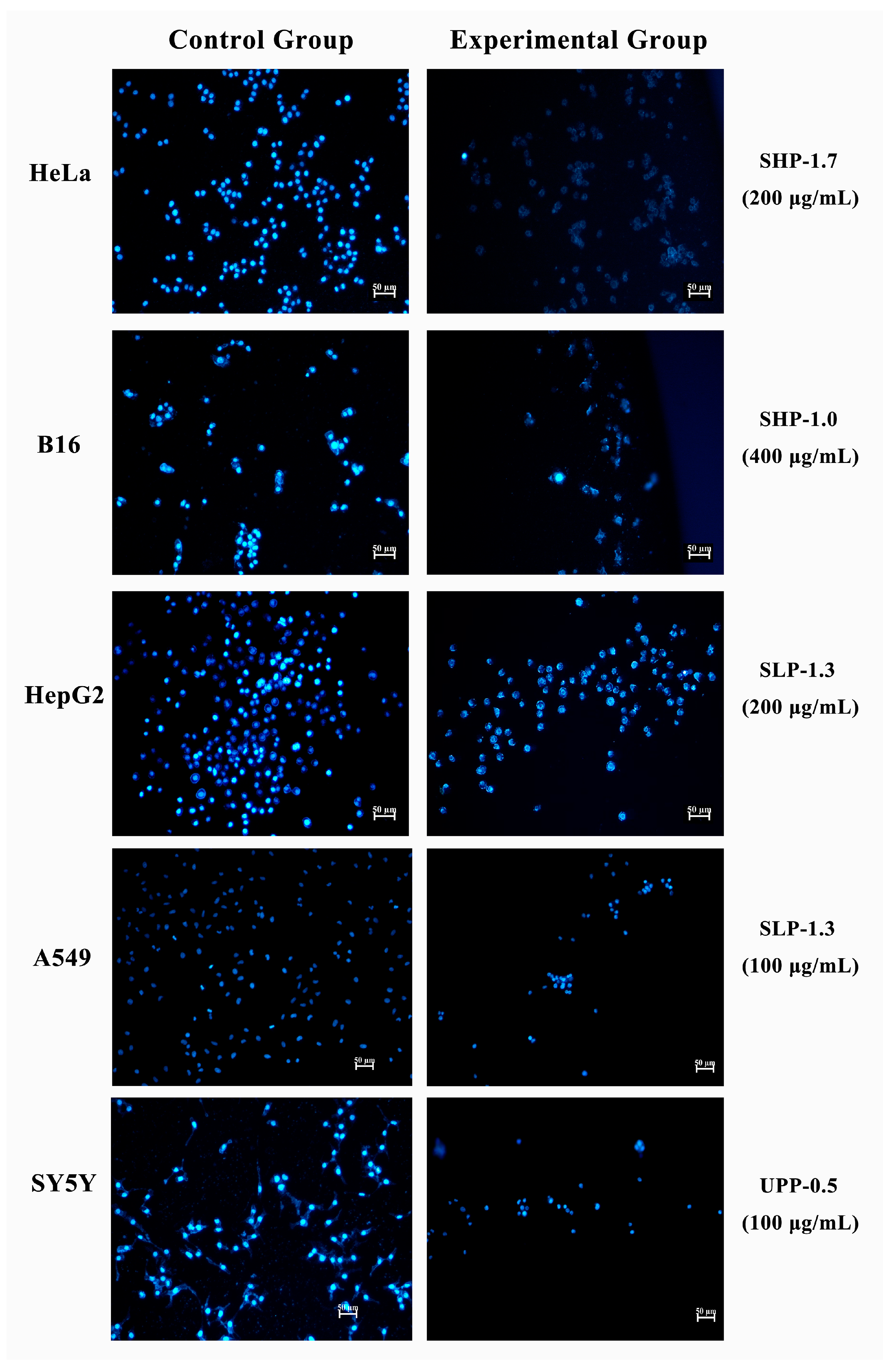 Marinedrugs 22 00316 g008