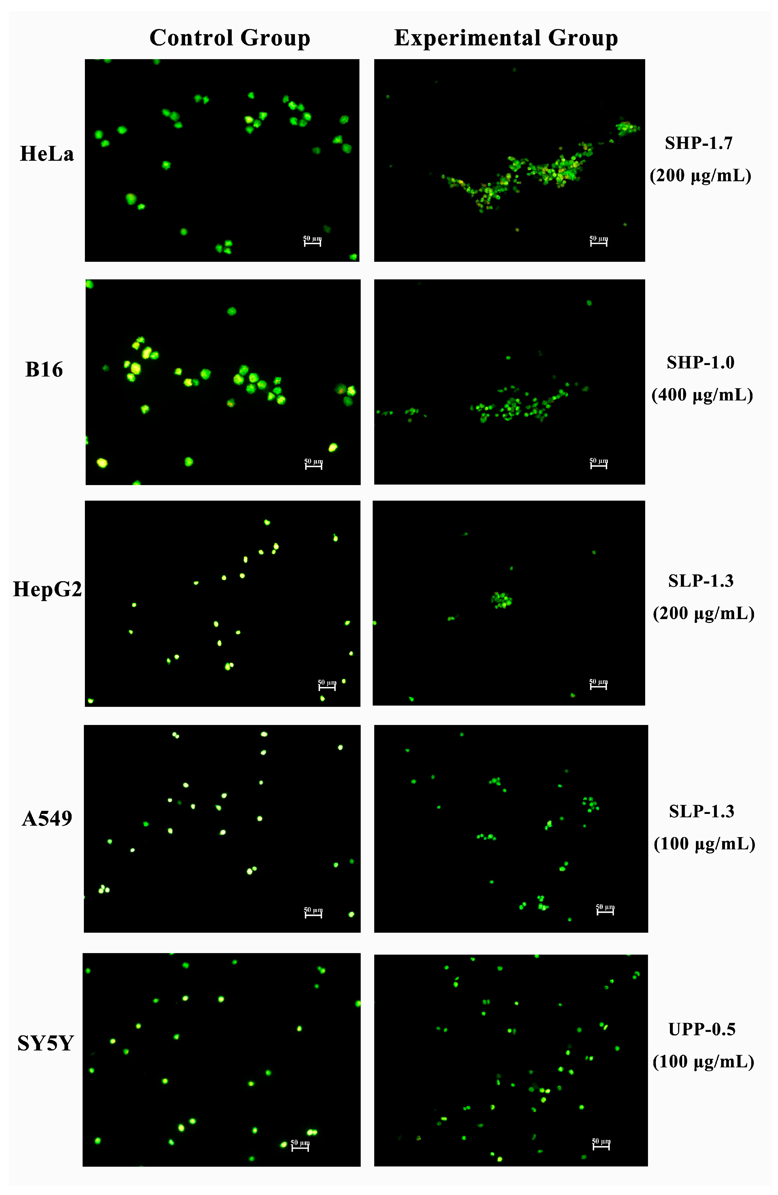Marinedrugs 22 00316 g009