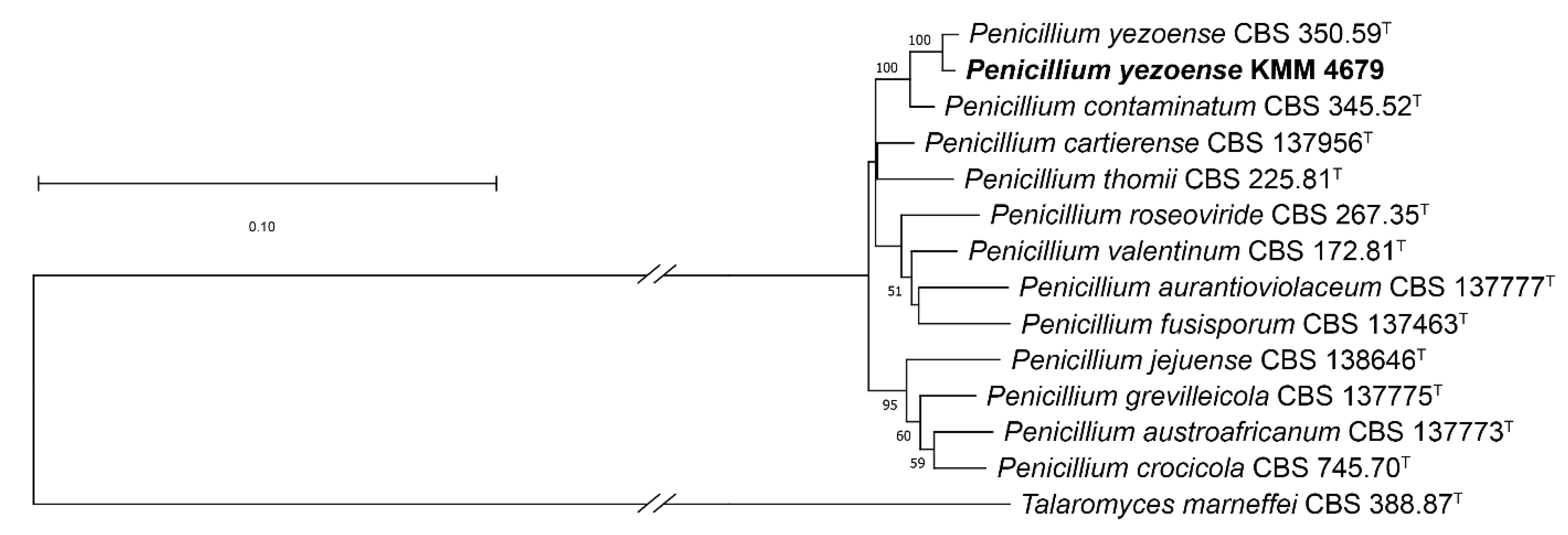 Marinedrugs 22 00317 g002 Marinedrugs 22 00317 g002