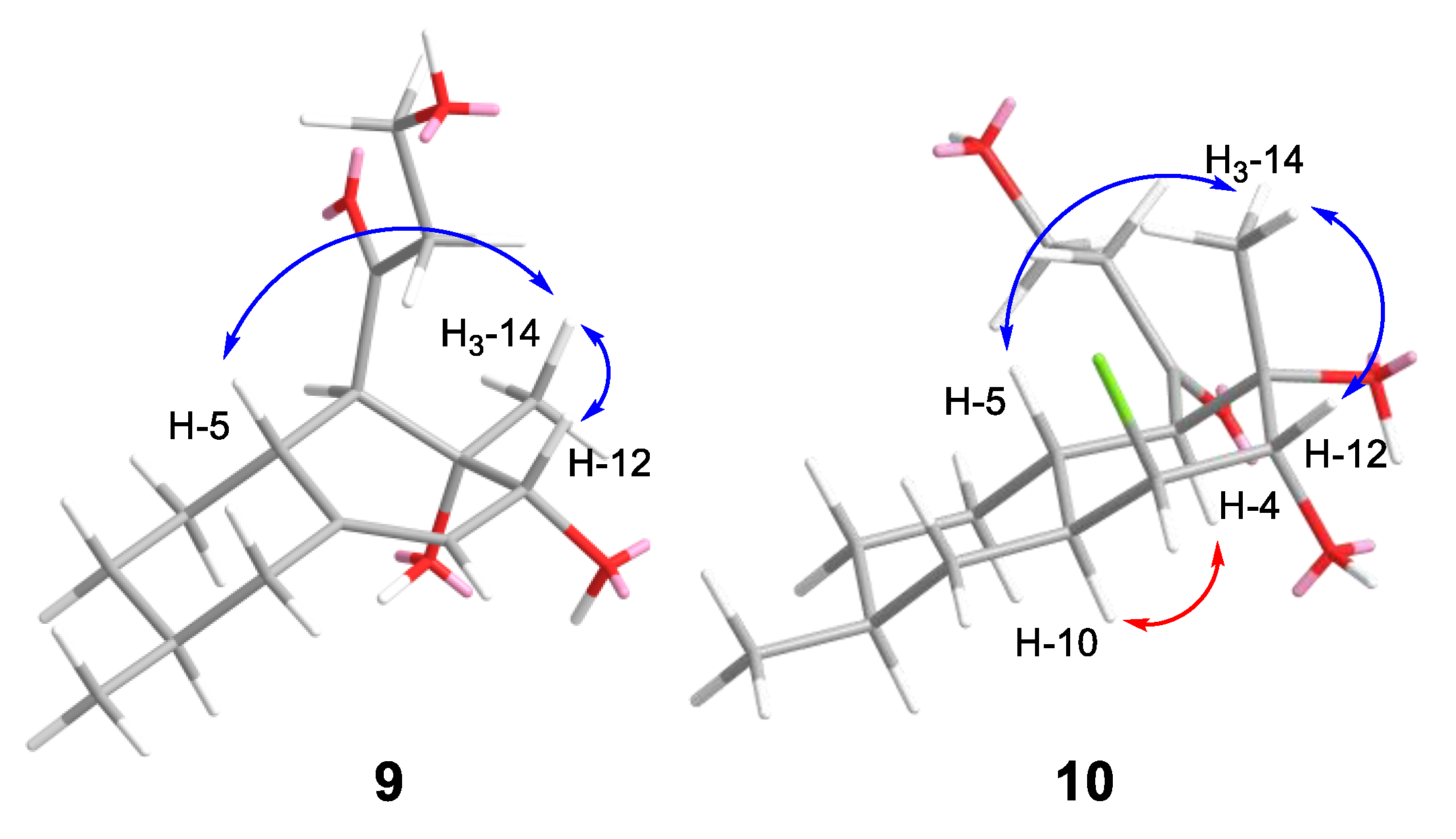 Marinedrugs 22 00317 g007 Marinedrugs 22 00317 g007
