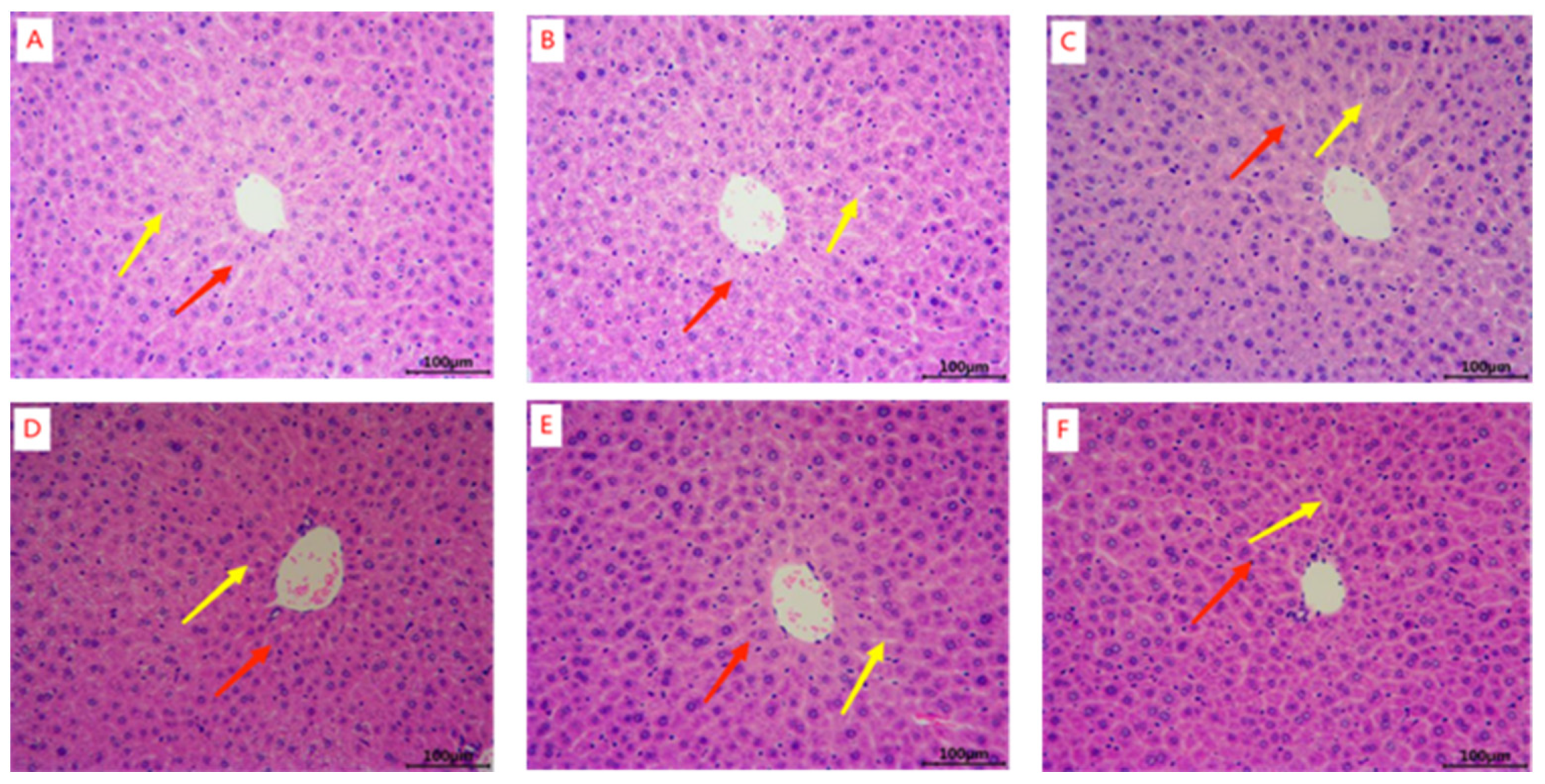 Marinedrugs 22 00322 g001