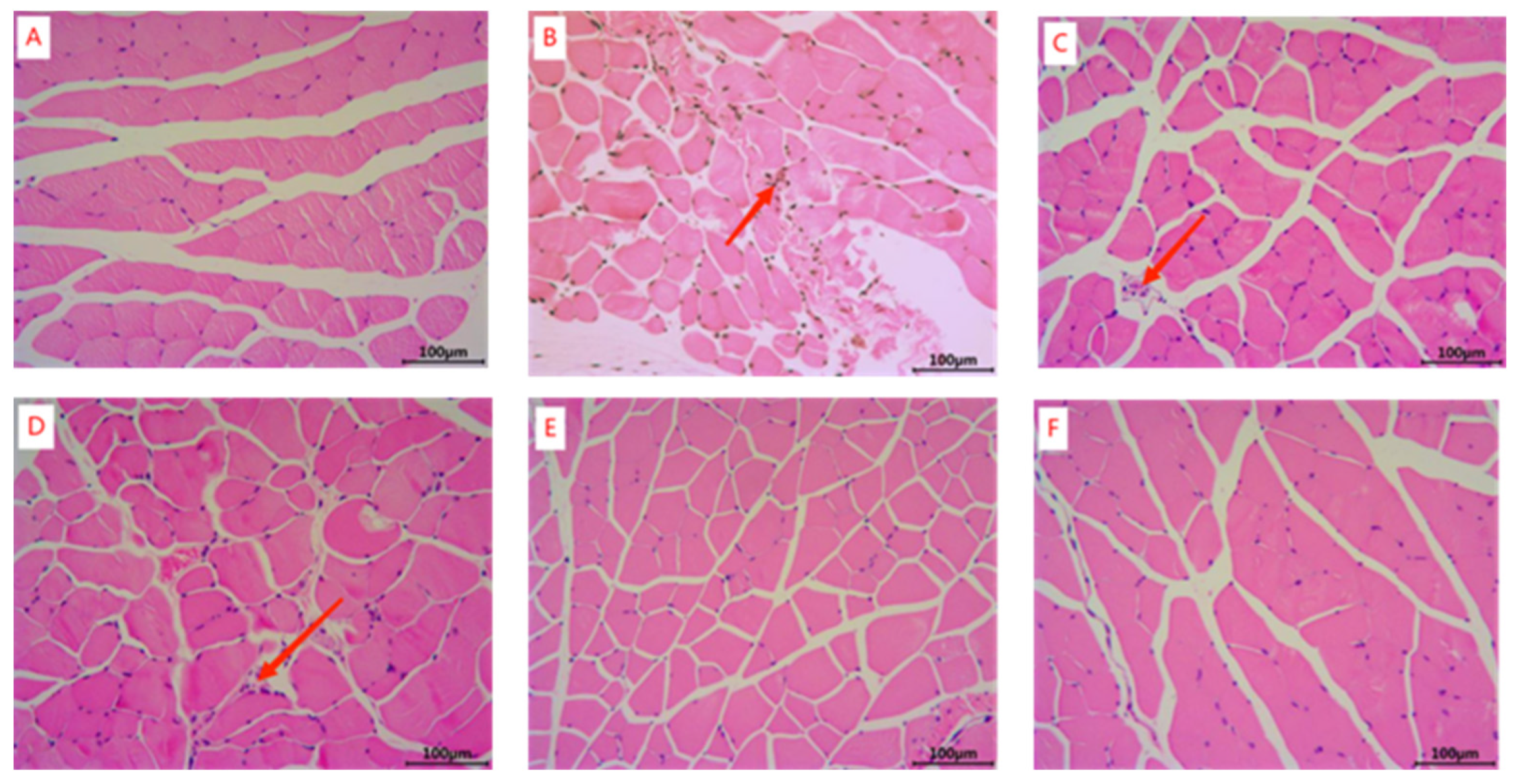 Marinedrugs 22 00322 g002
