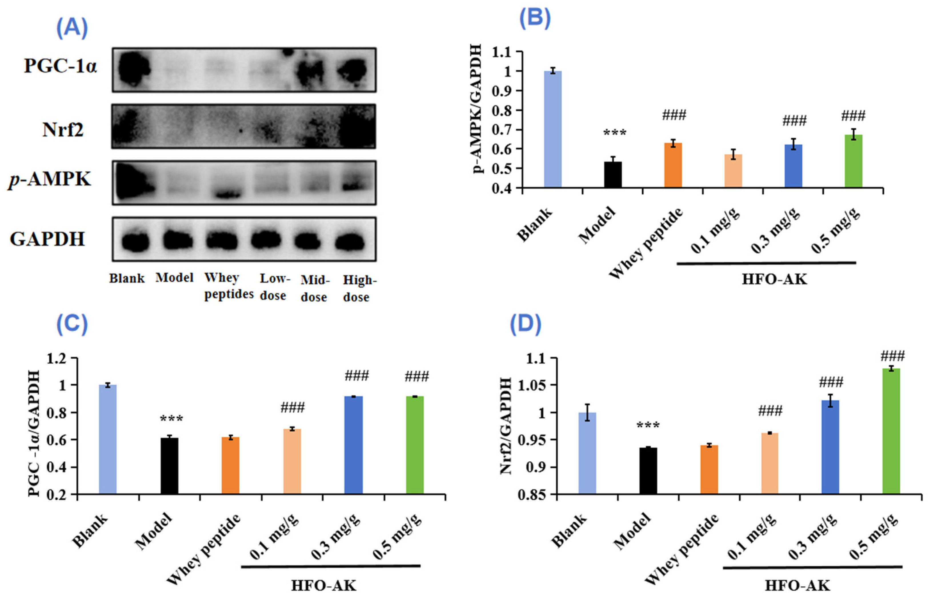 Marinedrugs 22 00322 g008