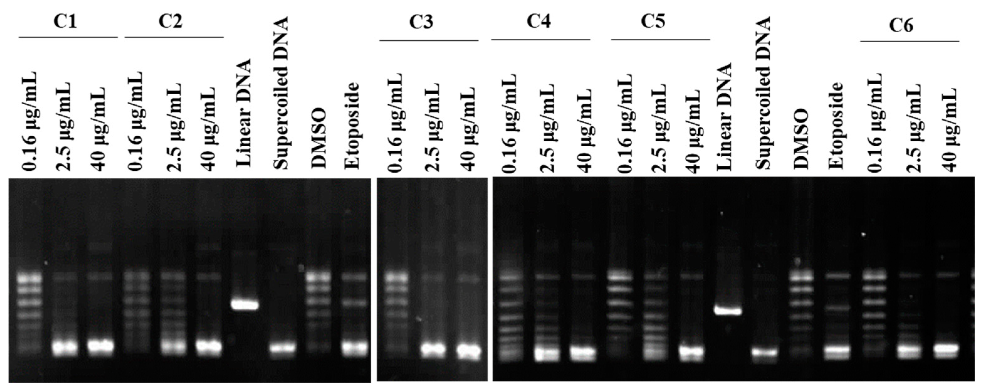 Marinedrugs 22 00323 g002 Marinedrugs 22 00323 g002