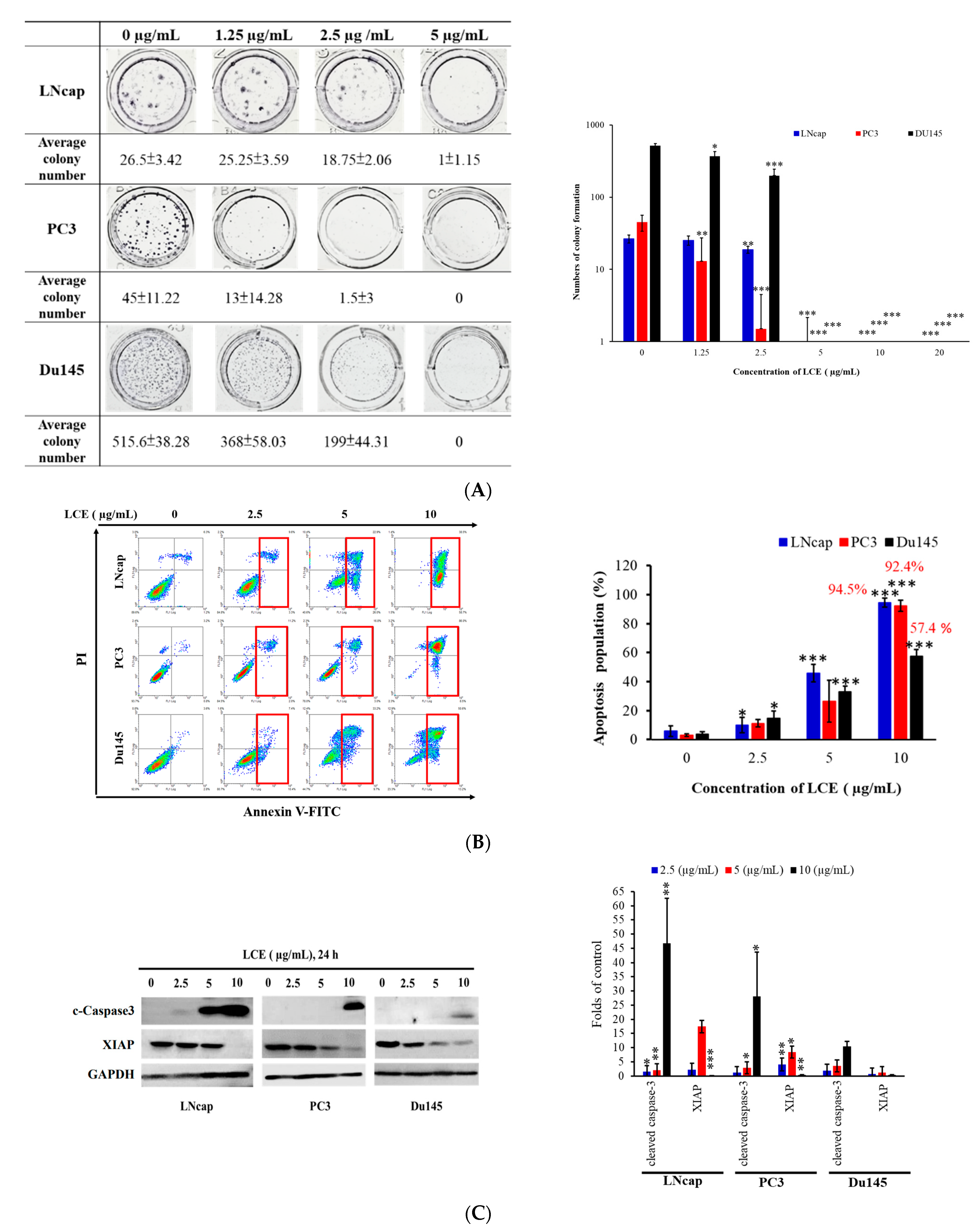 Marinedrugs 22 00323 g005 Marinedrugs 22 00323 g005