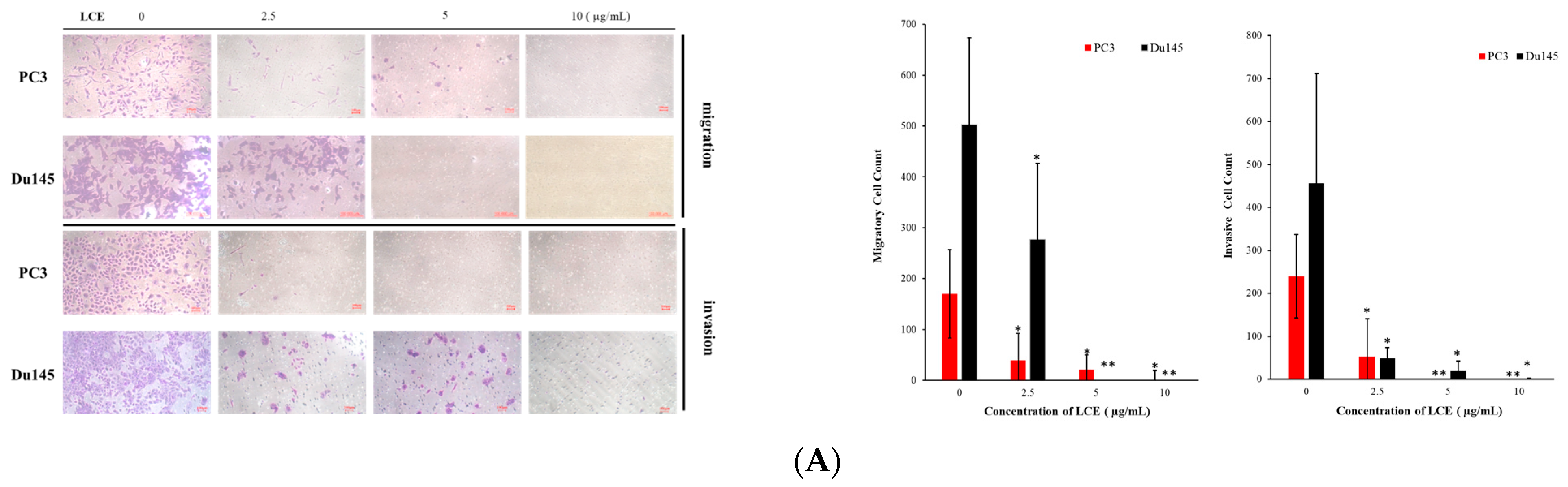 Marinedrugs 22 00323 g006a Marinedrugs 22 00323 g006a