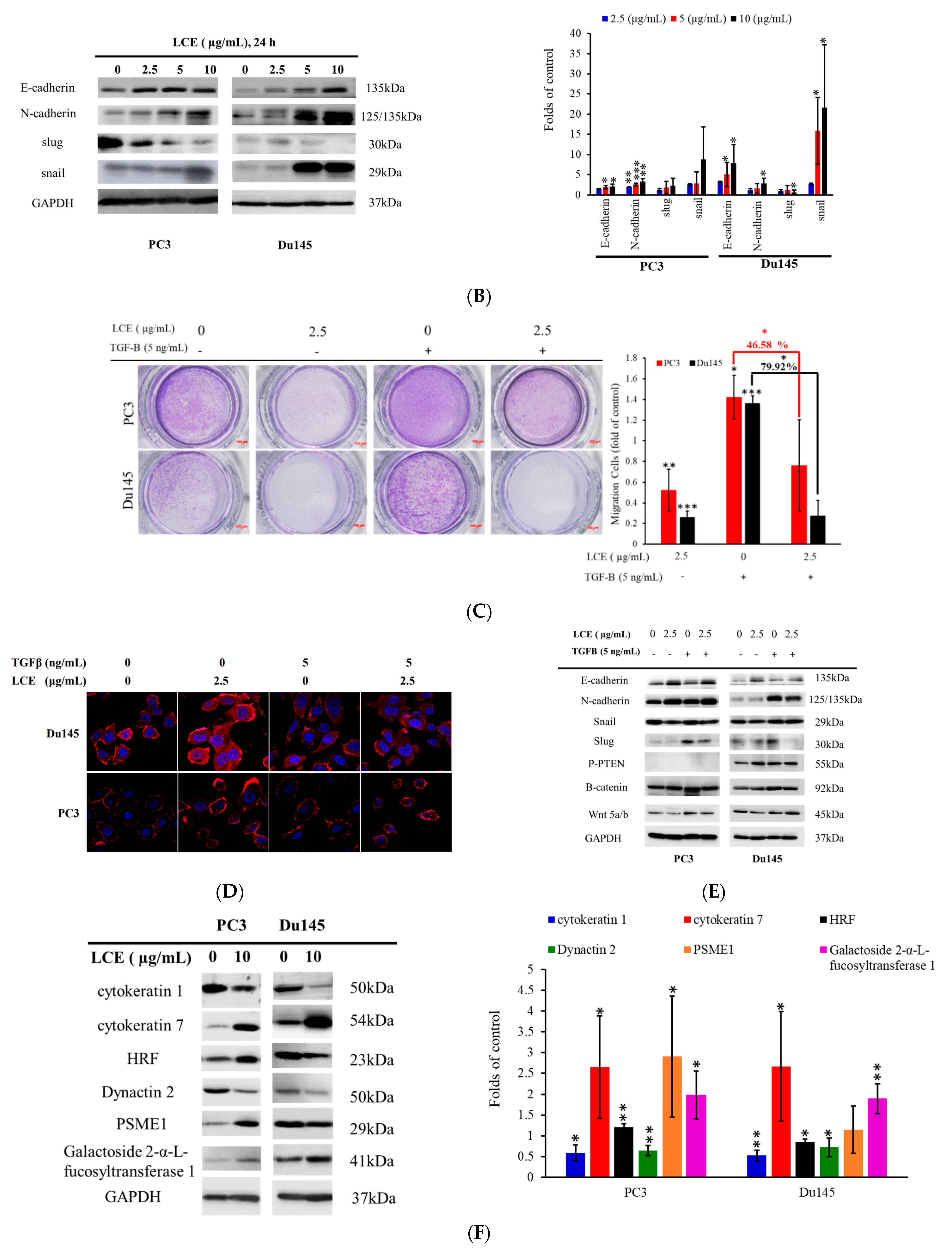 Marinedrugs 22 00323 g006b Marinedrugs 22 00323 g006b