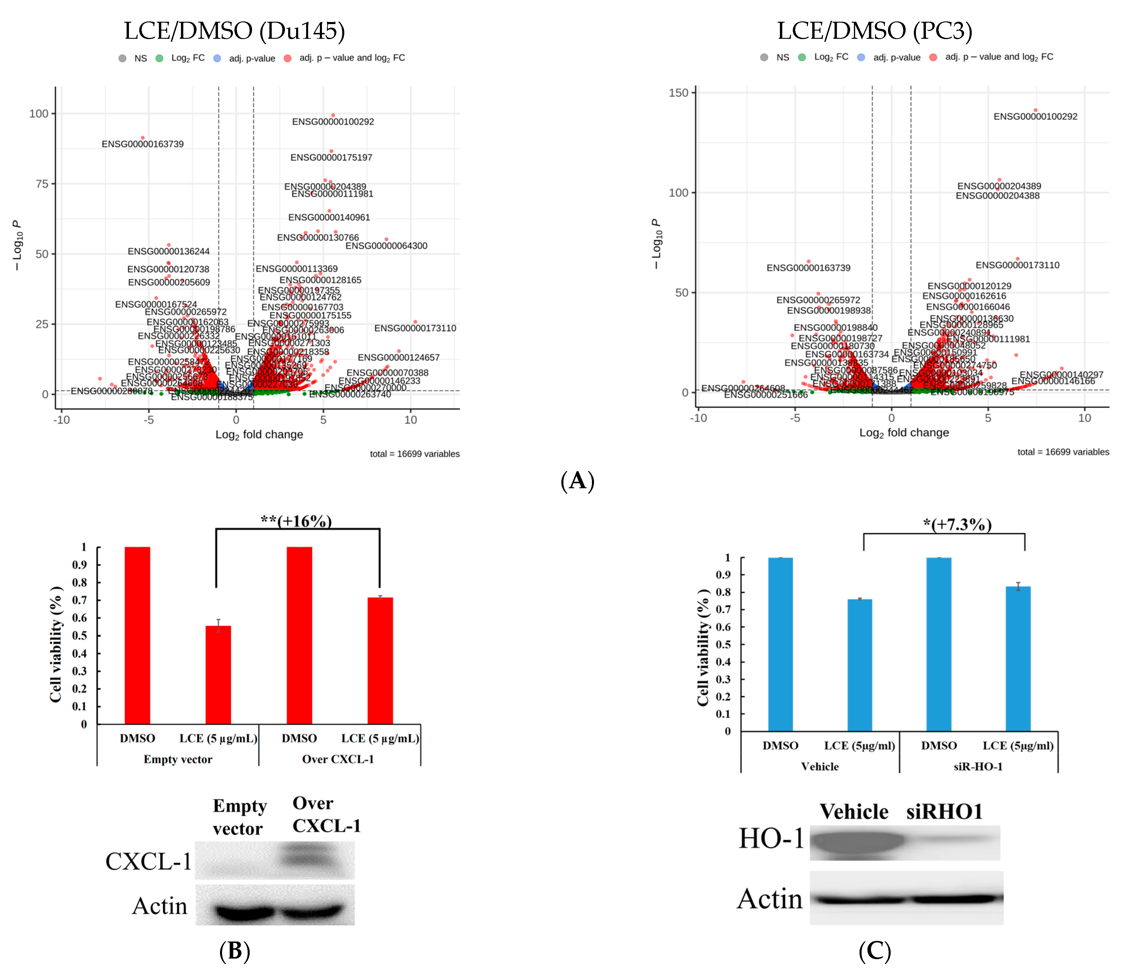 Marinedrugs 22 00323 g007 Marinedrugs 22 00323 g007