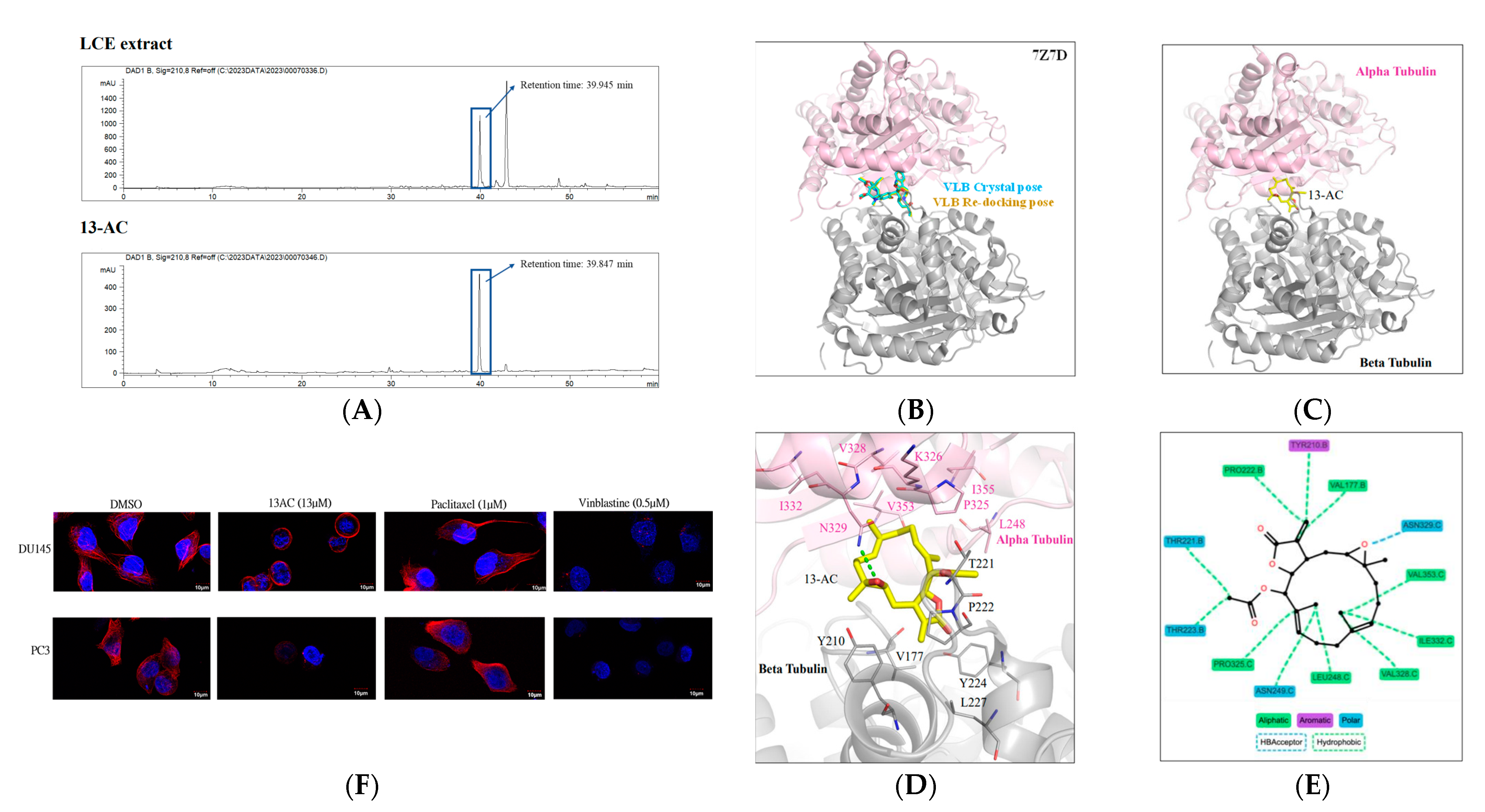 Marinedrugs 22 00323 g008 Marinedrugs 22 00323 g008