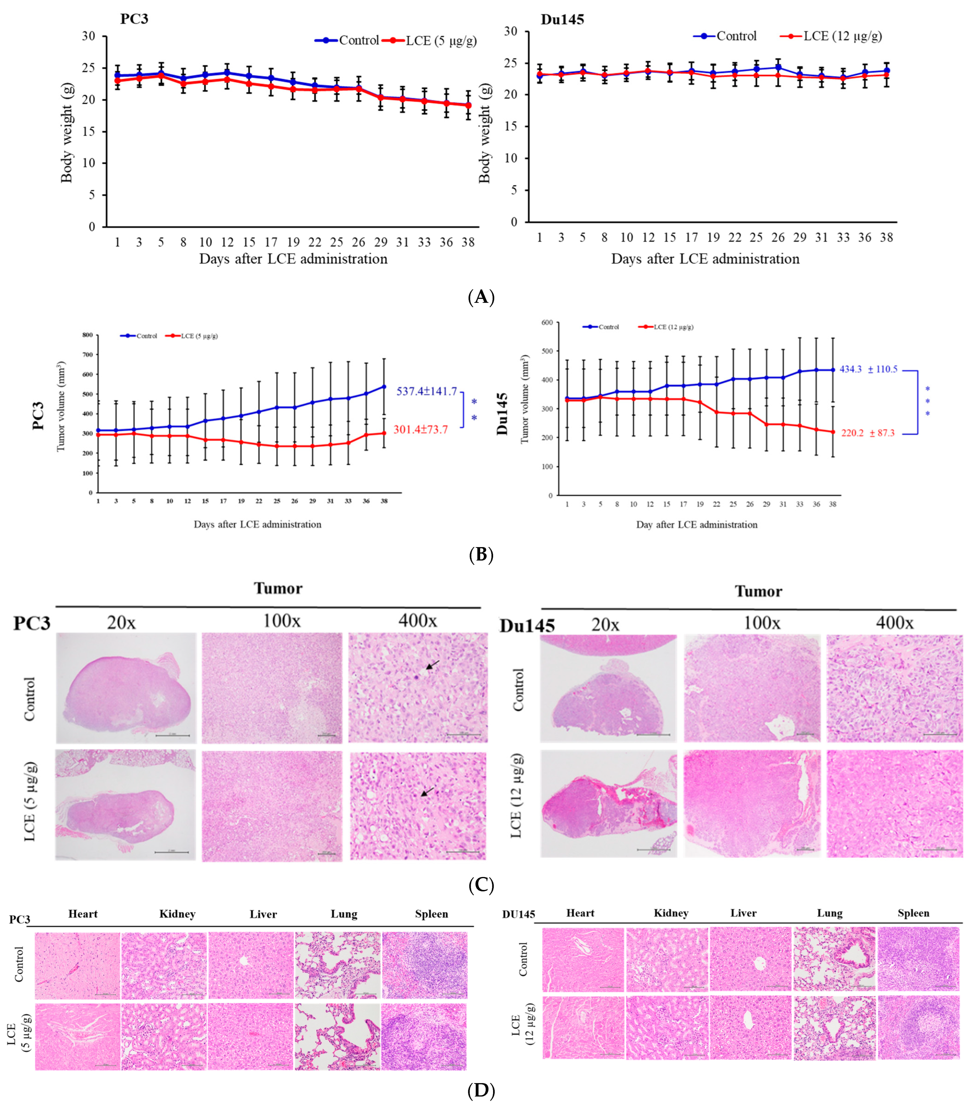 Marinedrugs 22 00323 g009 Marinedrugs 22 00323 g009